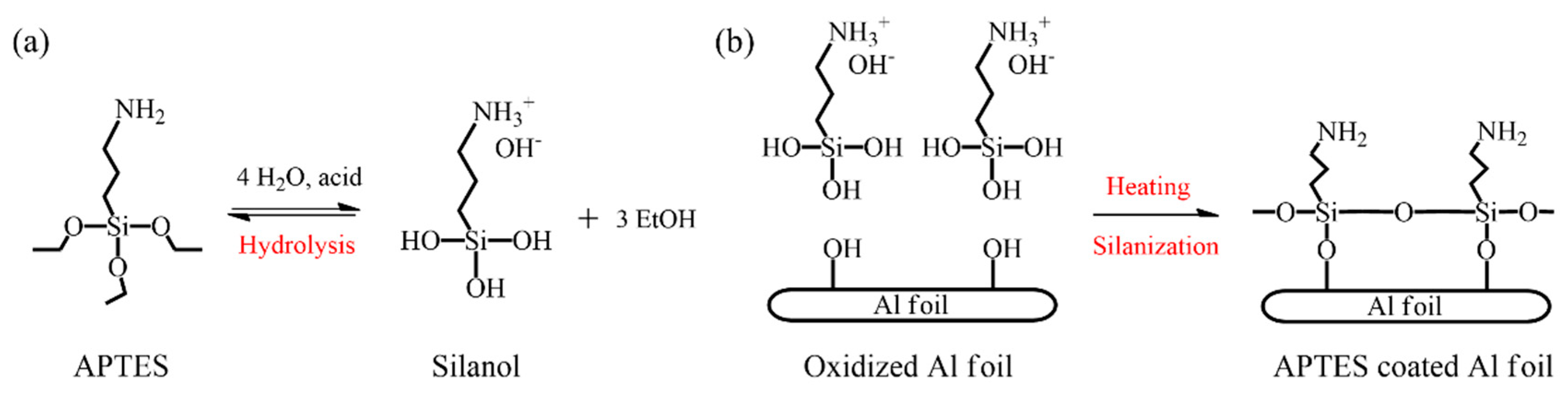 Coatings 09 00061 g006