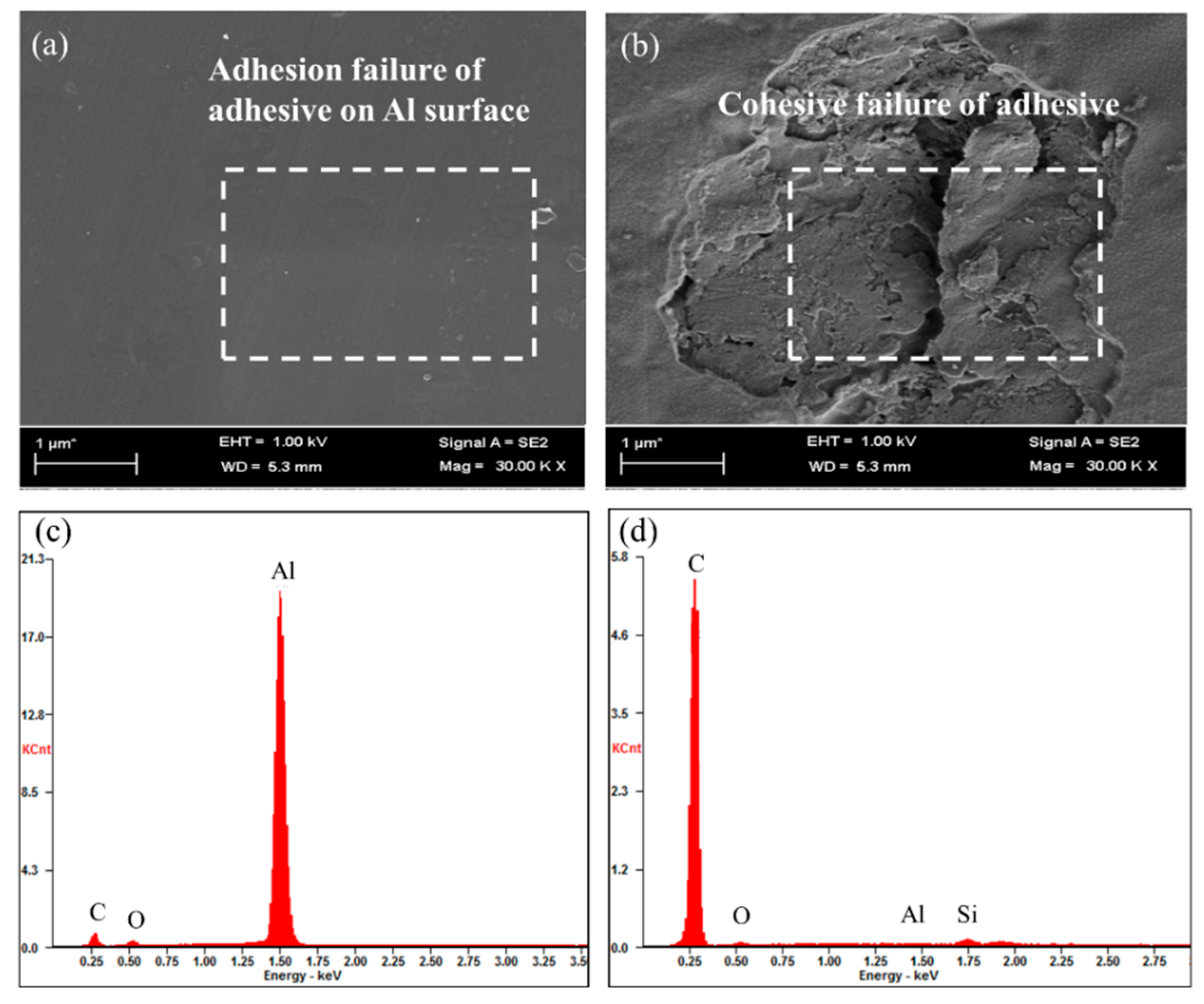 Coatings 09 00061 g010