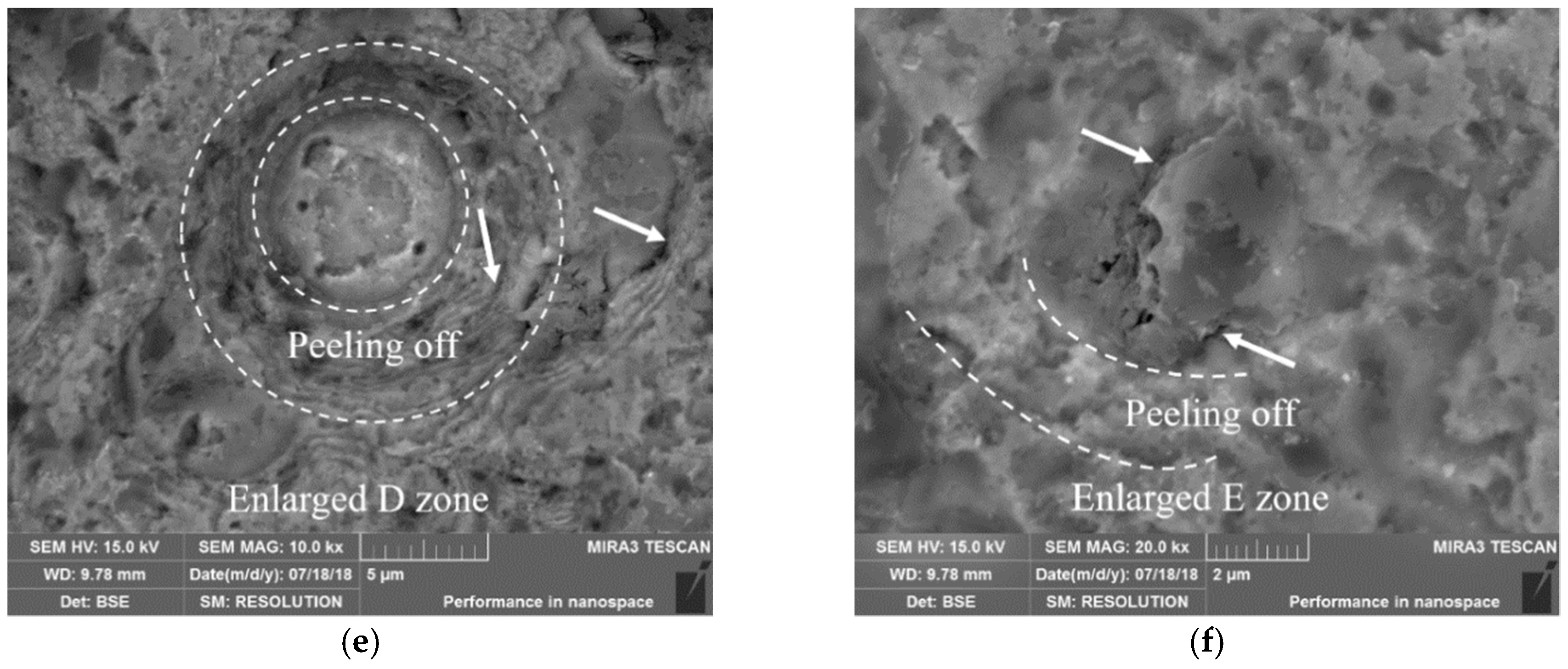 Coatings 09 00064 g006b 550
