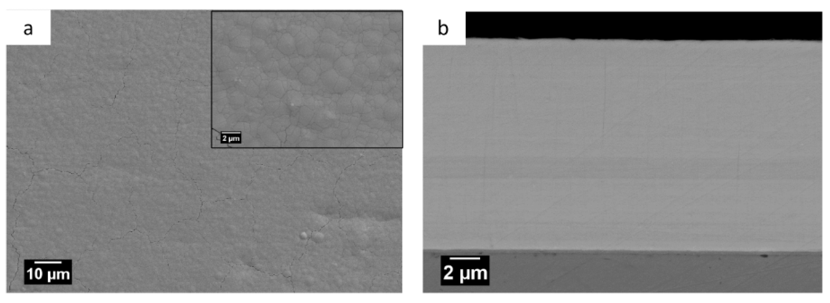 Coatings 09 00066 g001 Coatings 09 00066 g001