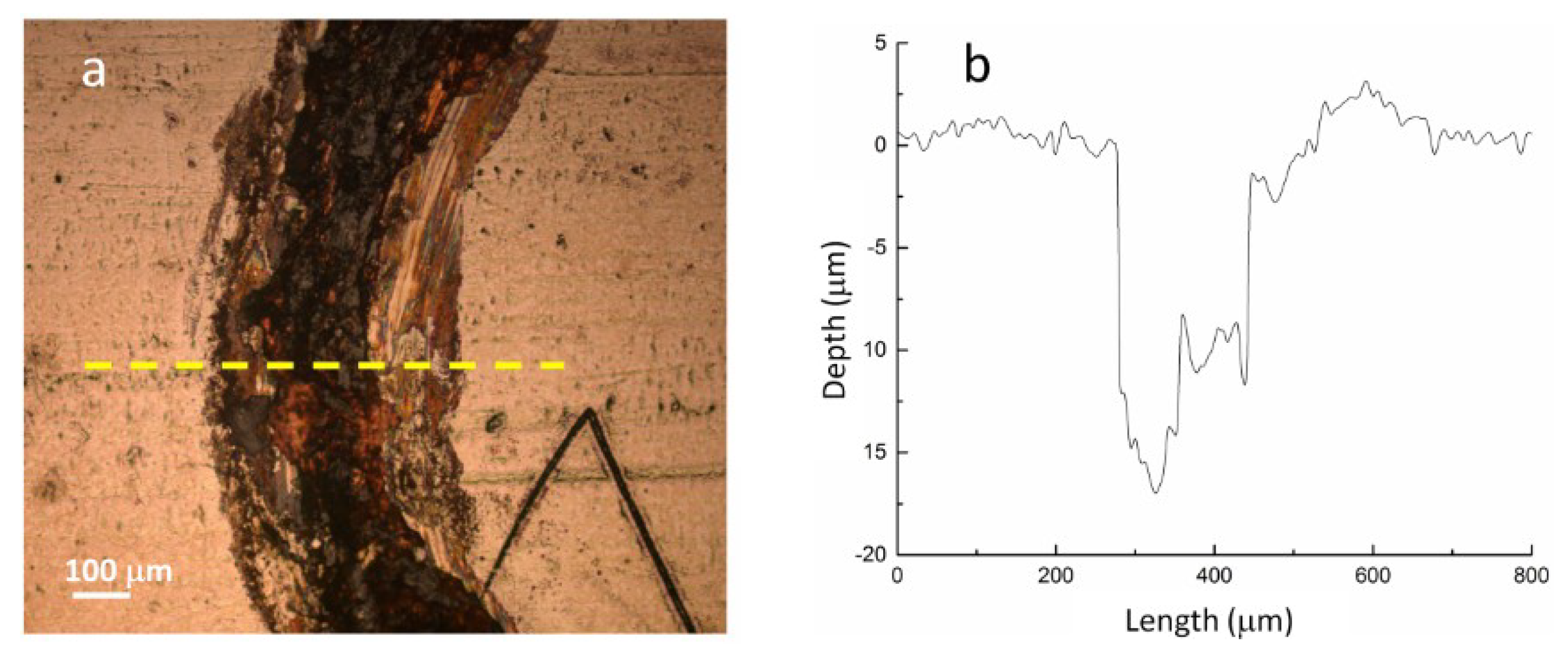 Coatings 09 00066 g007a Coatings 09 00066 g007a