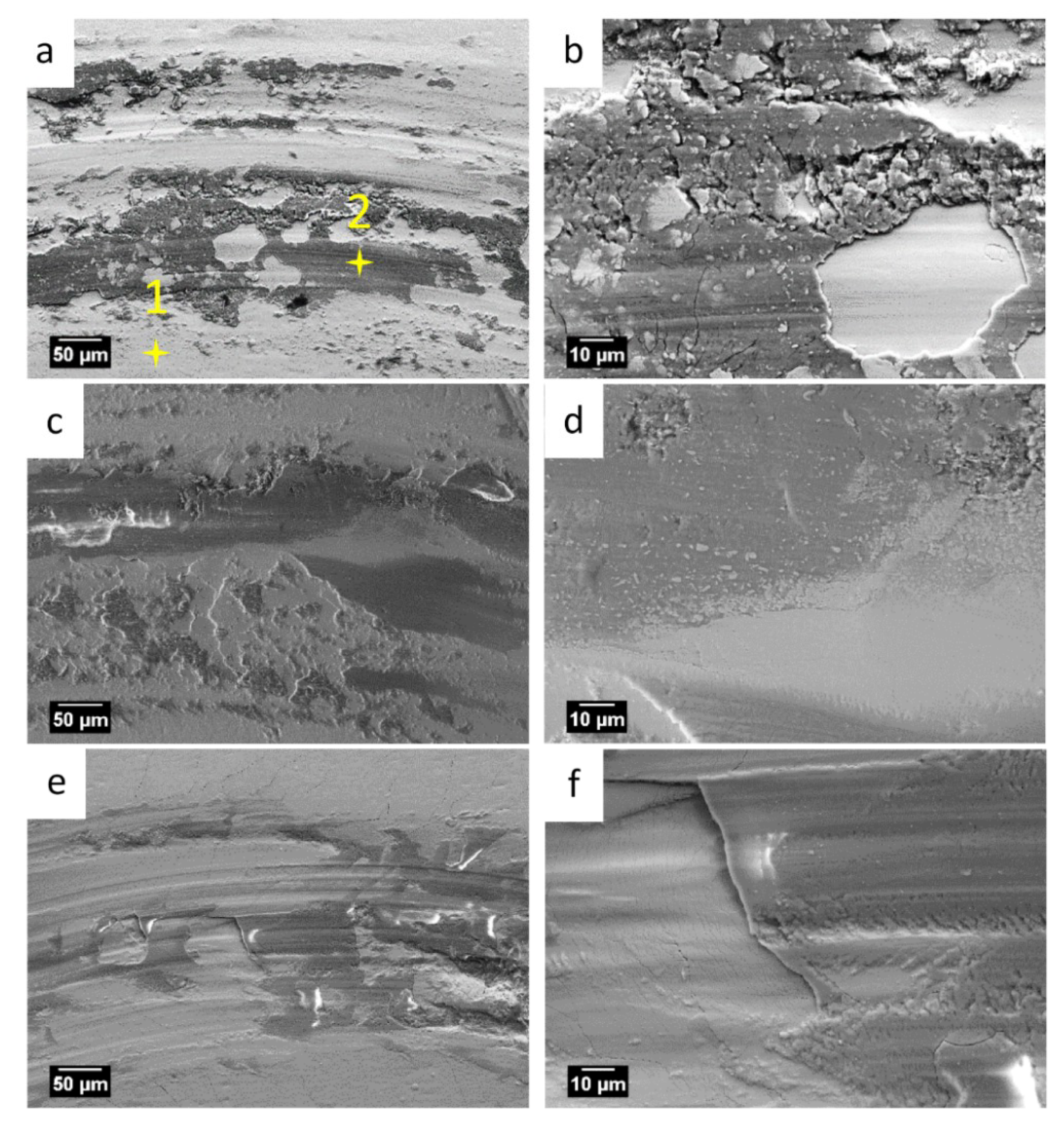 Coatings 09 00066 g009a Coatings 09 00066 g009a