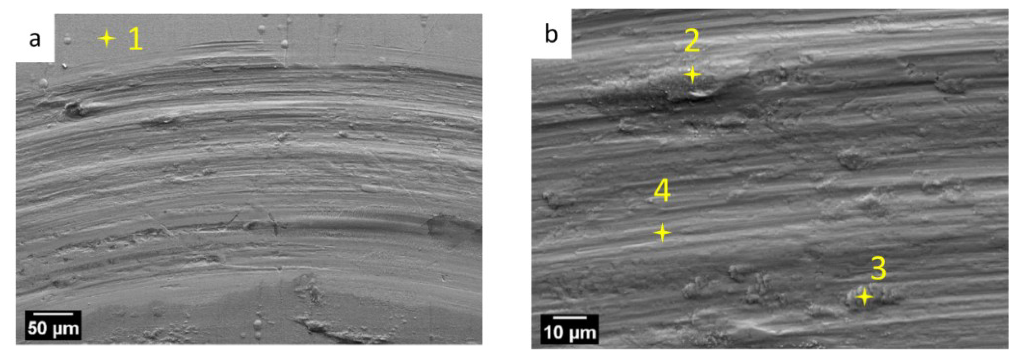 Coatings 09 00066 g010 Coatings 09 00066 g010