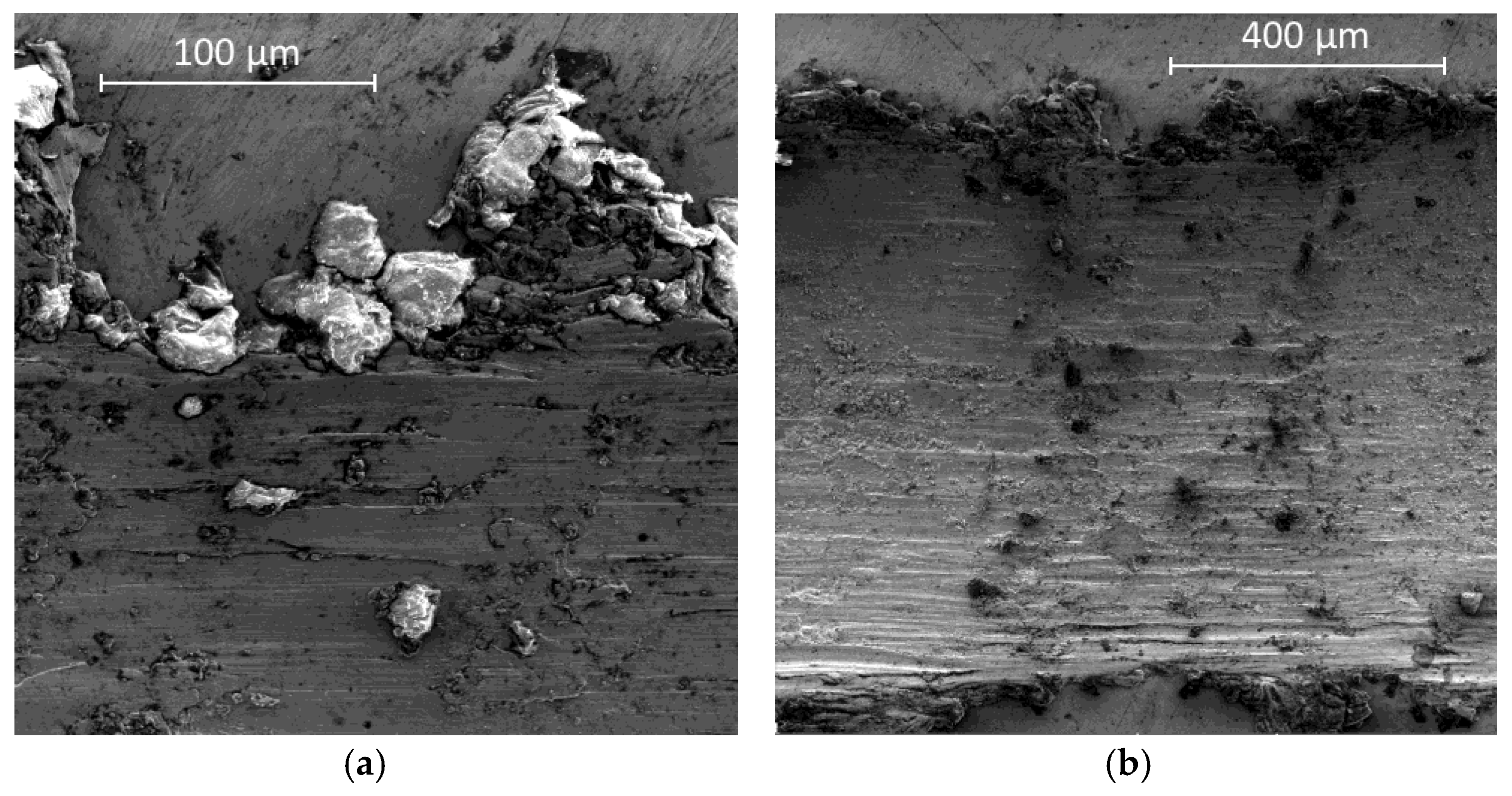 Coatings 09 00067 g008