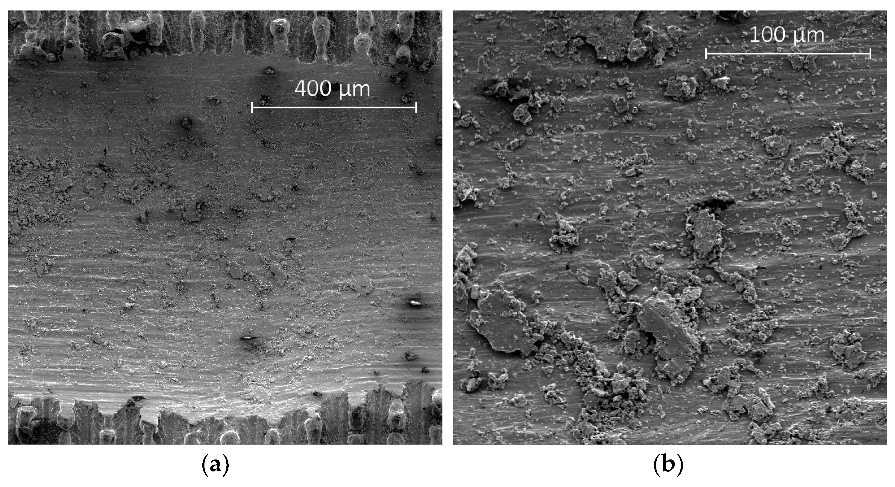 Coatings 09 00067 g012