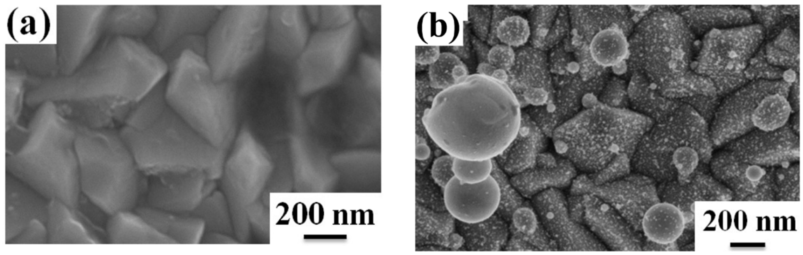 Coatings 09 00068 g005 Coatings 09 00068 g005