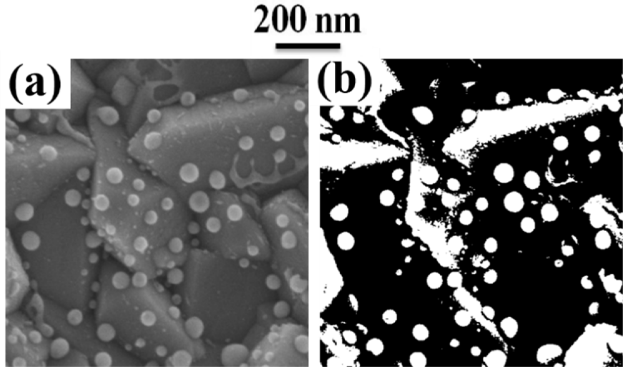 Coatings 09 00068 g006 Coatings 09 00068 g006