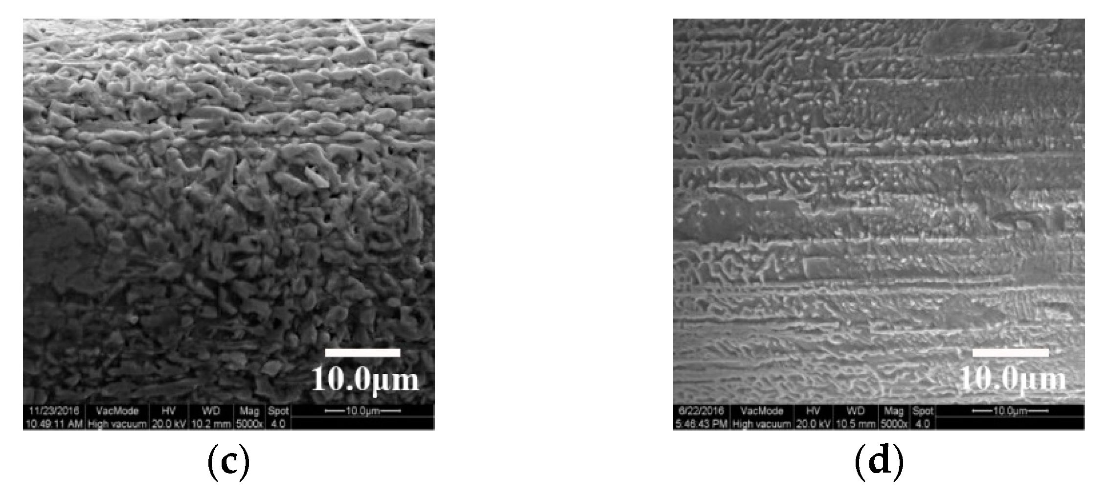 Coatings 09 00069 g003b Coatings 09 00069 g003b