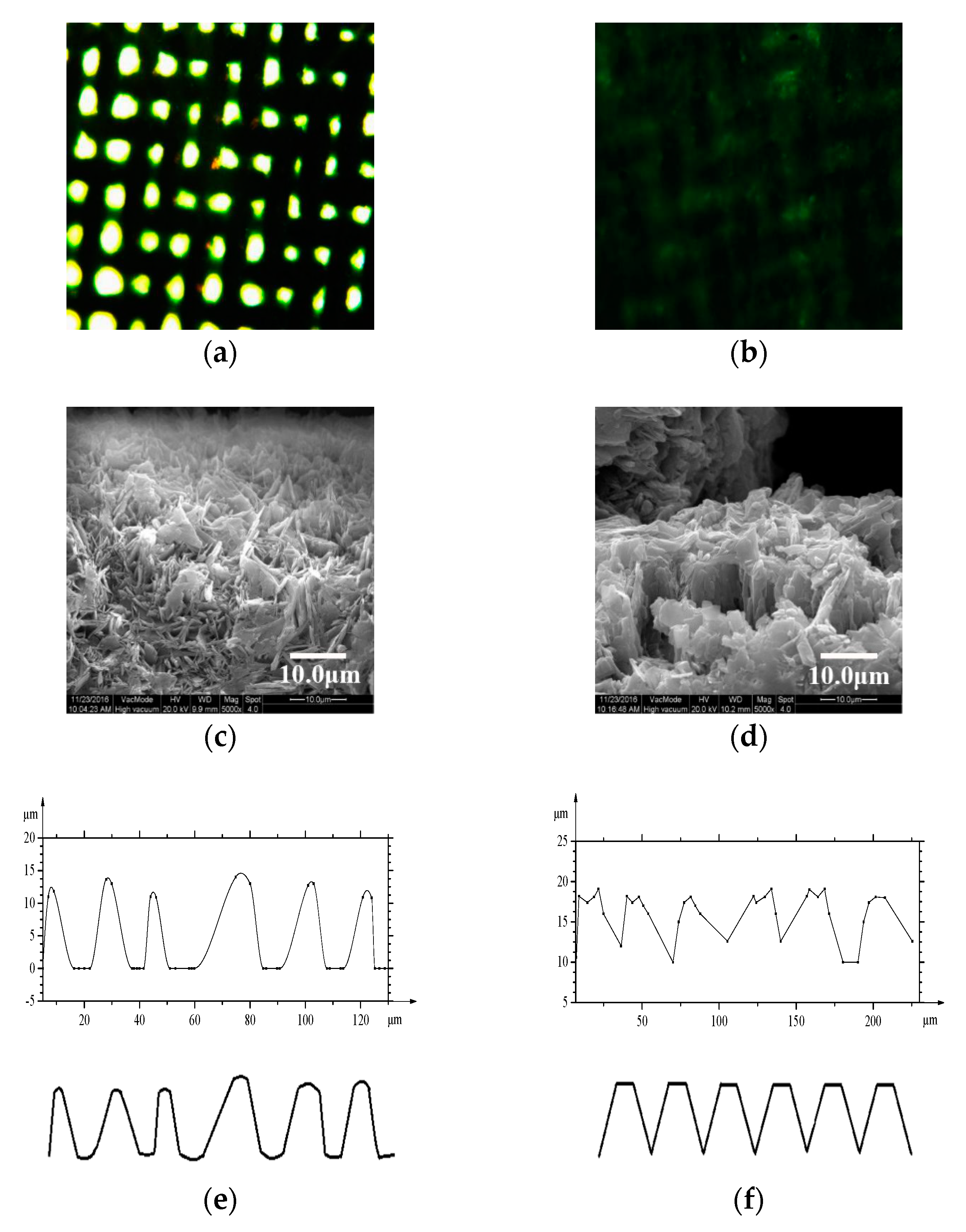 Coatings 09 00069 g004 Coatings 09 00069 g004
