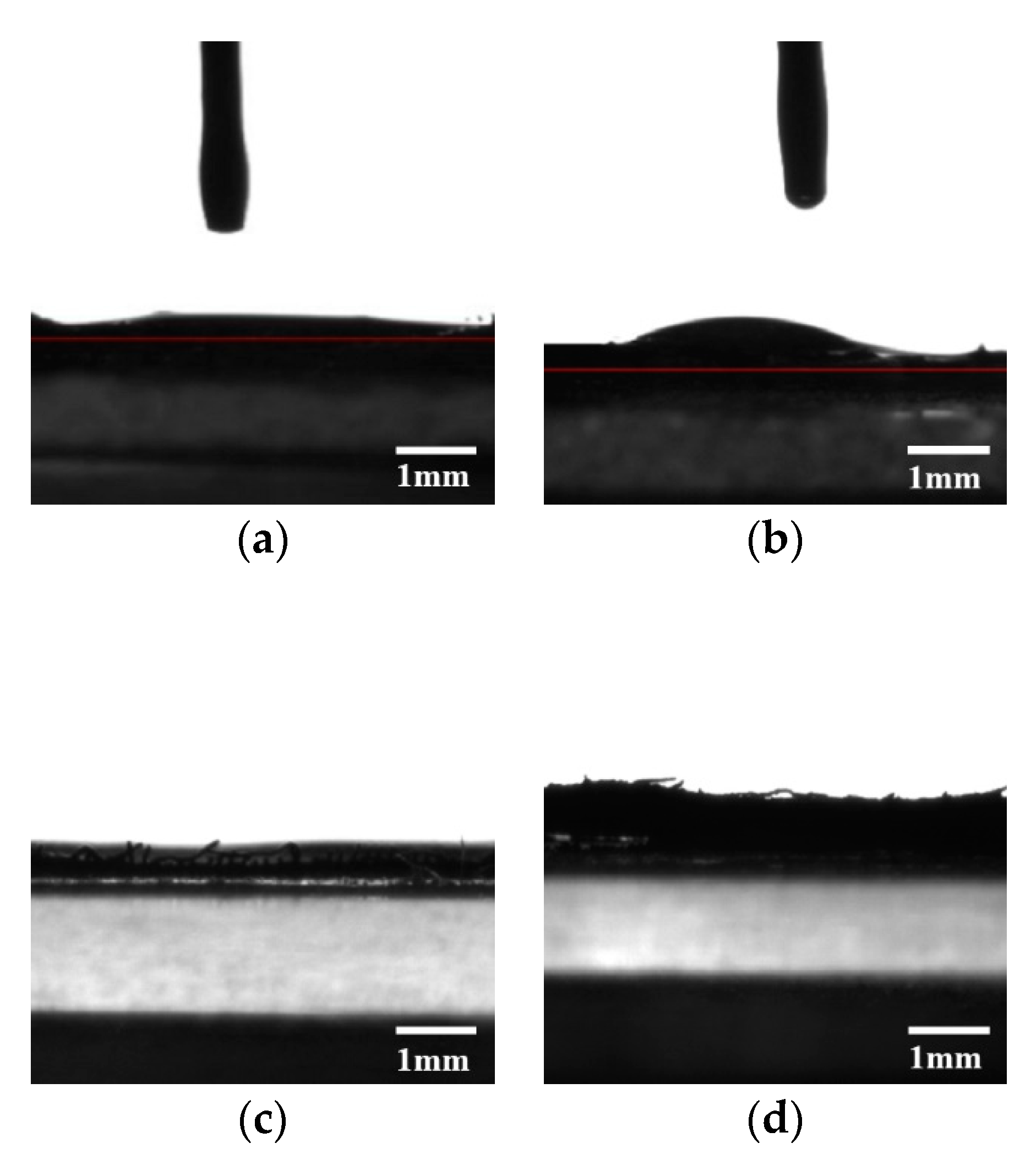 Coatings 09 00069 g008 Coatings 09 00069 g008