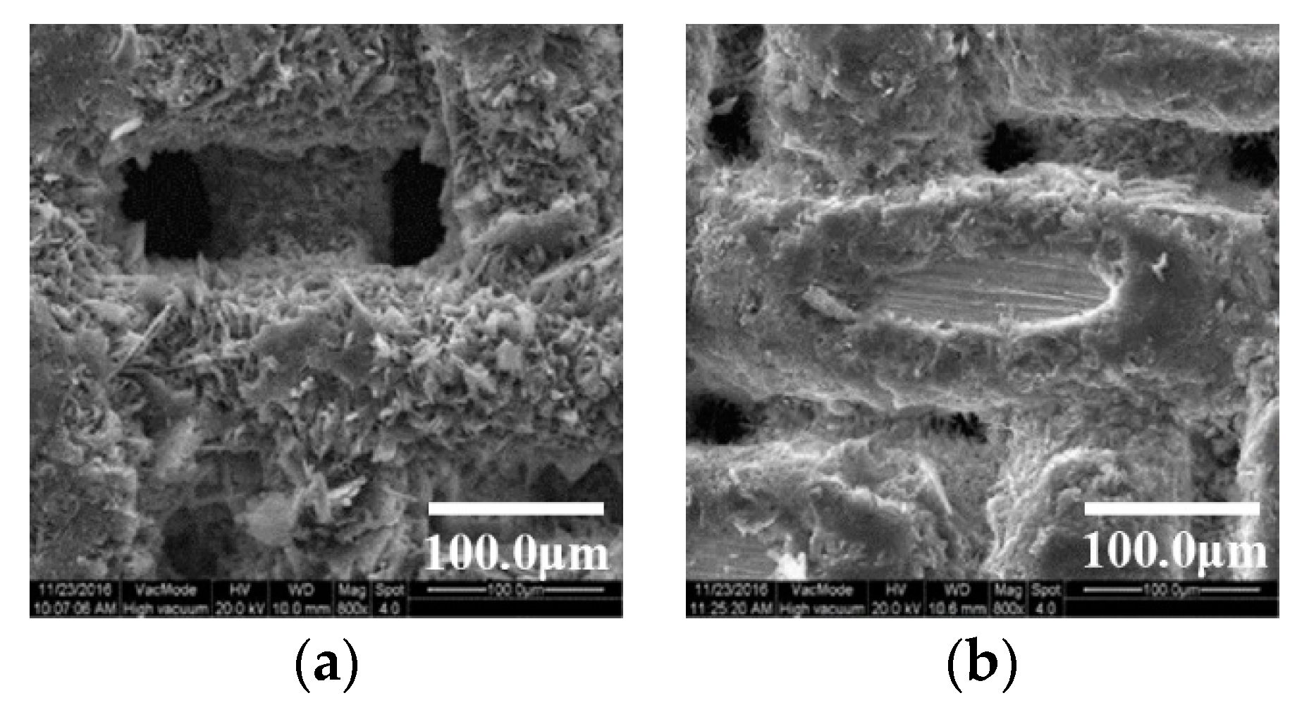 Coatings 09 00069 g012 Coatings 09 00069 g012