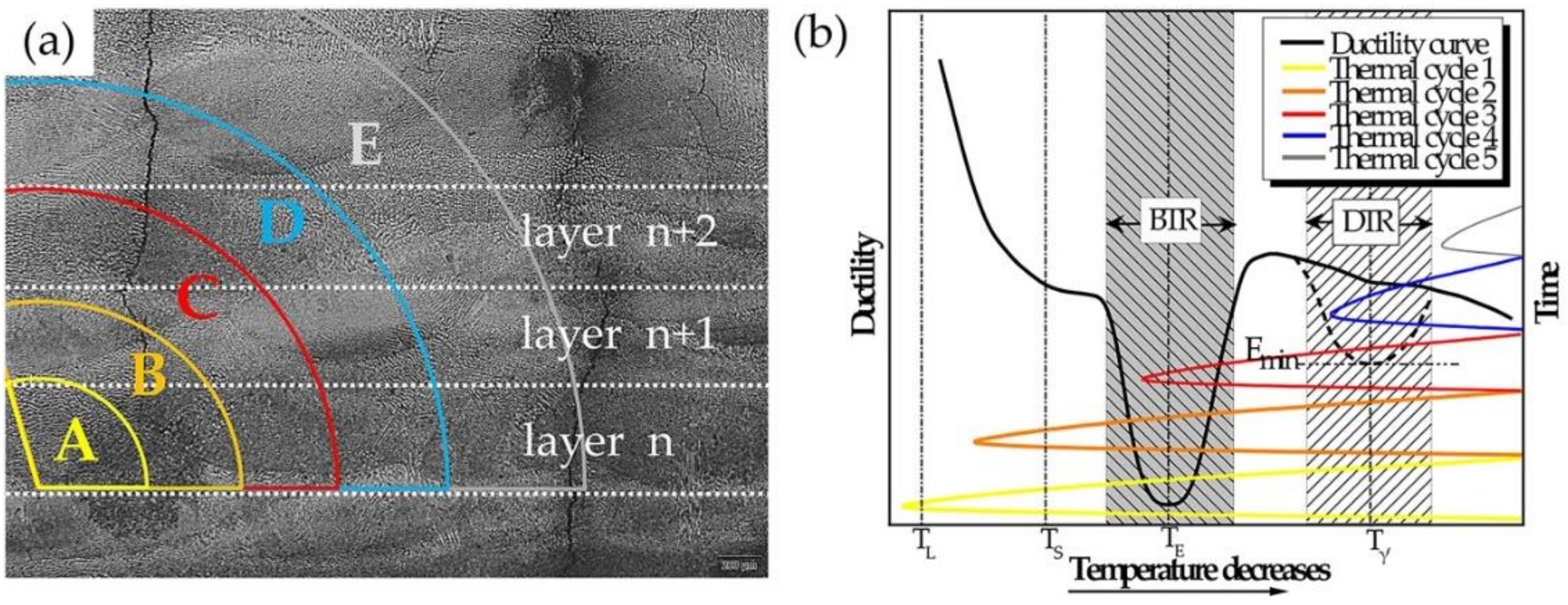 Coatings 09 00071 g006