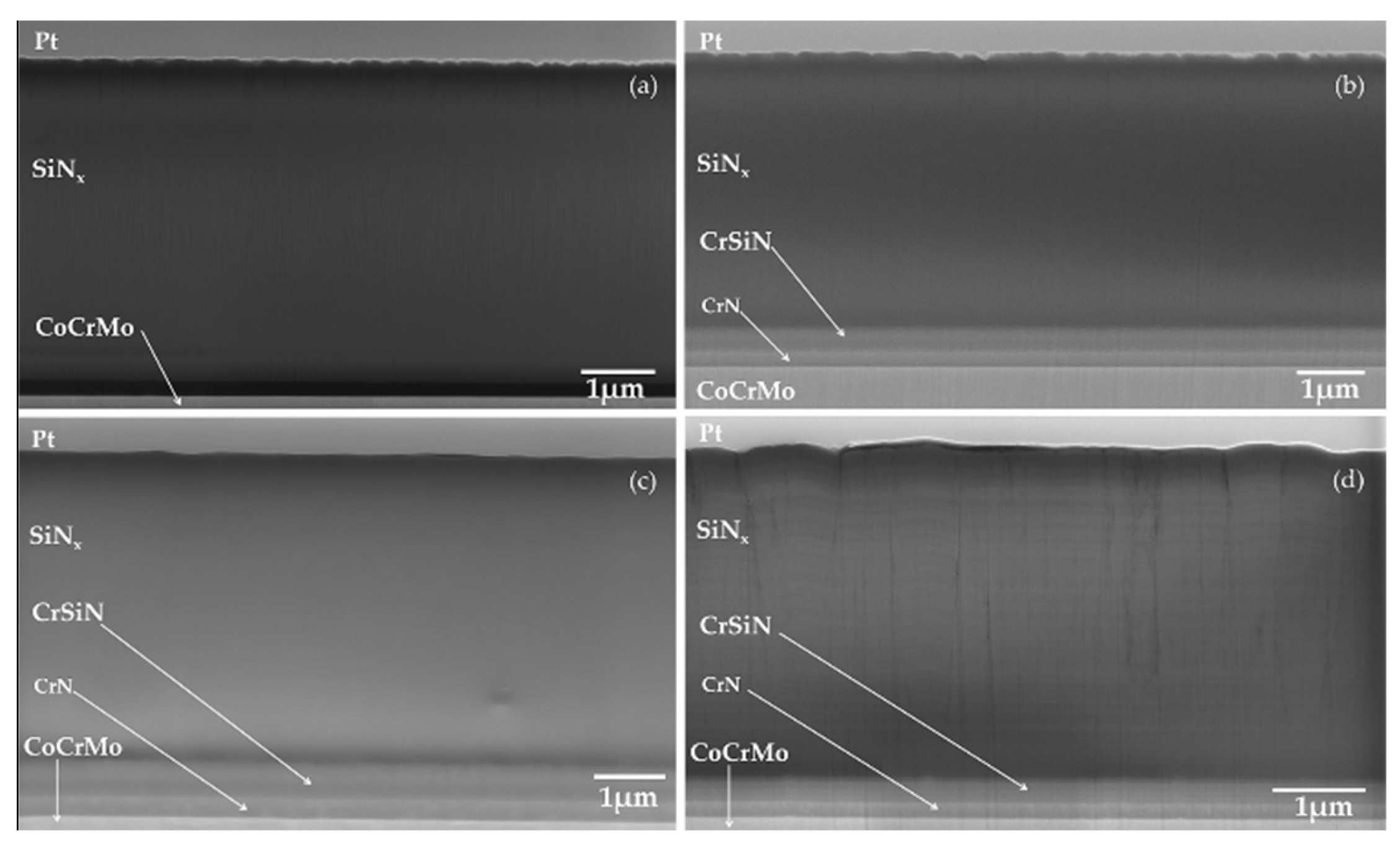 Coatings 09 00073 g002 Coatings 09 00073 g002