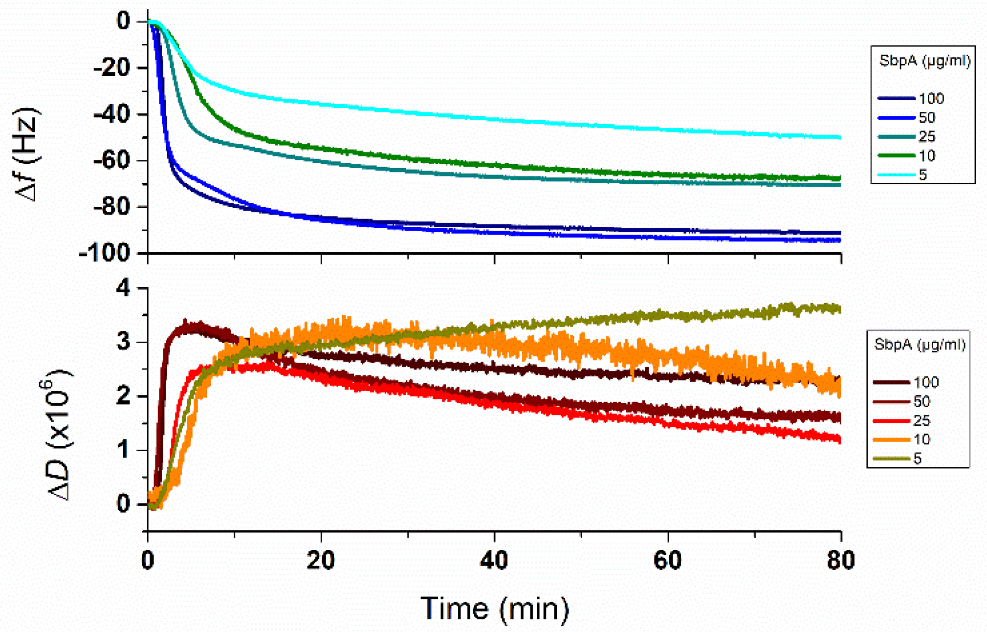 Coatings 09 00076 g001 Coatings 09 00076 g001