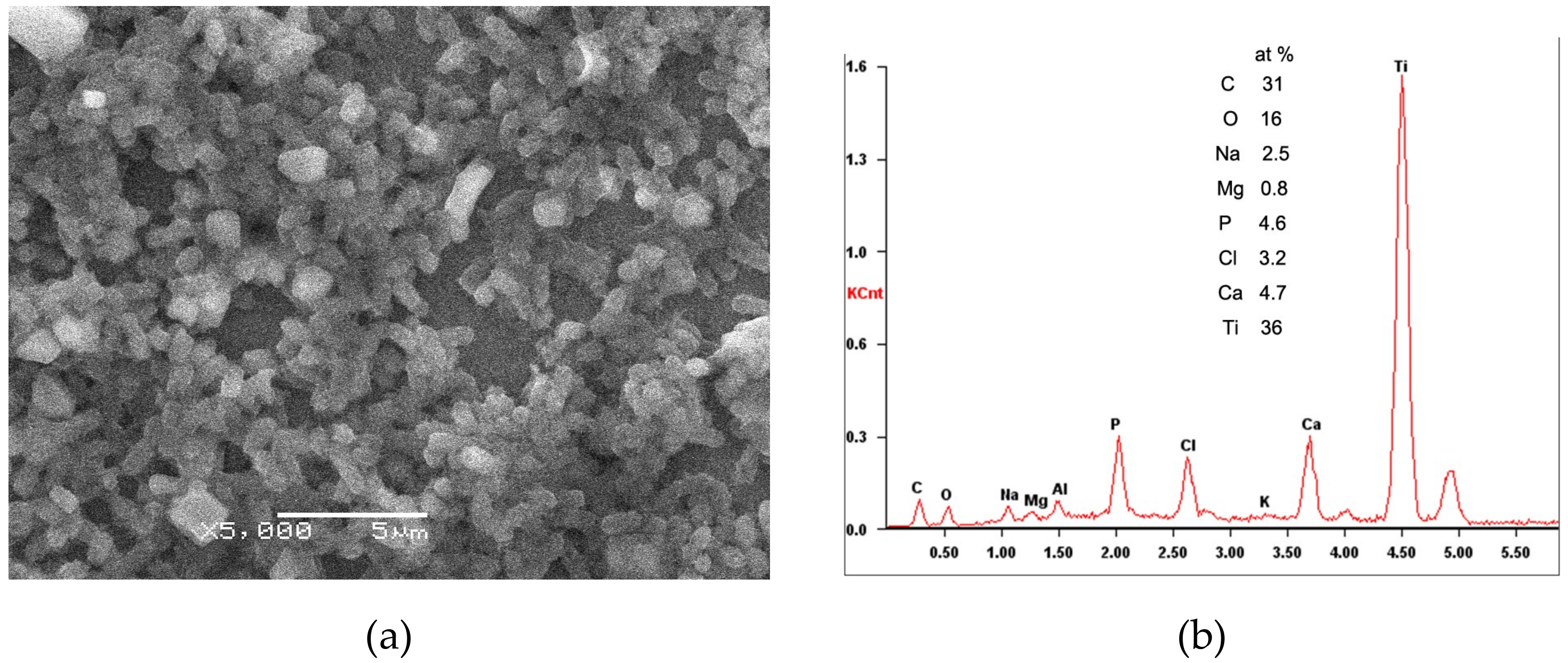 Coatings 09 00080 g007a Coatings 09 00080 g007a