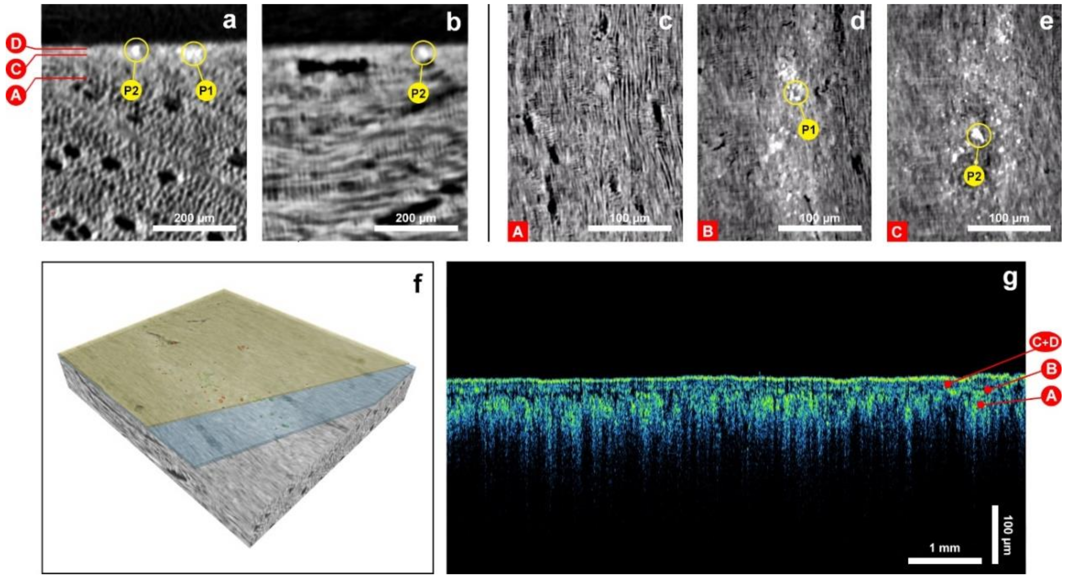 Coatings 09 00081 g004 Coatings 09 00081 g004