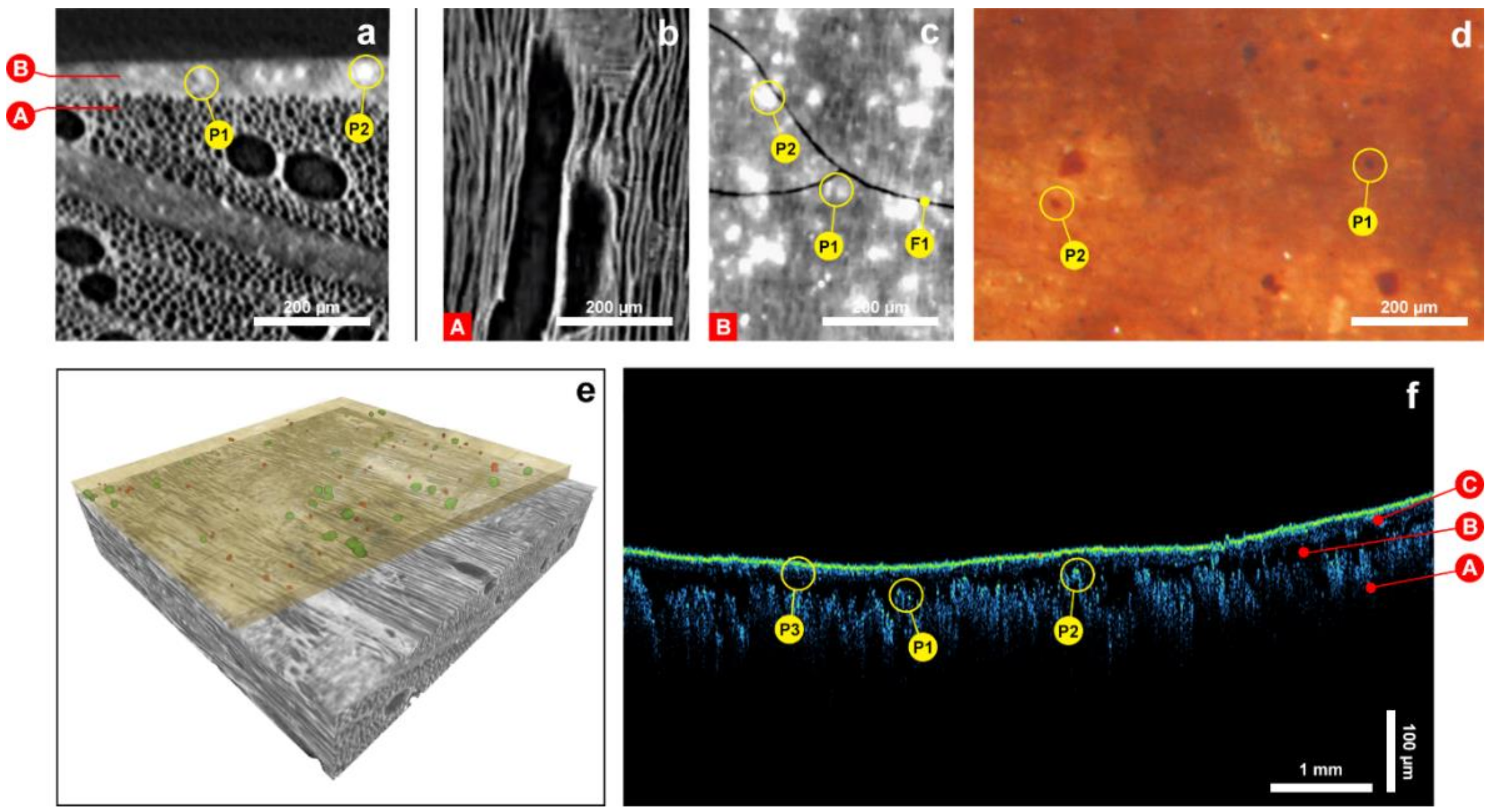 Coatings 09 00081 g005 Coatings 09 00081 g005