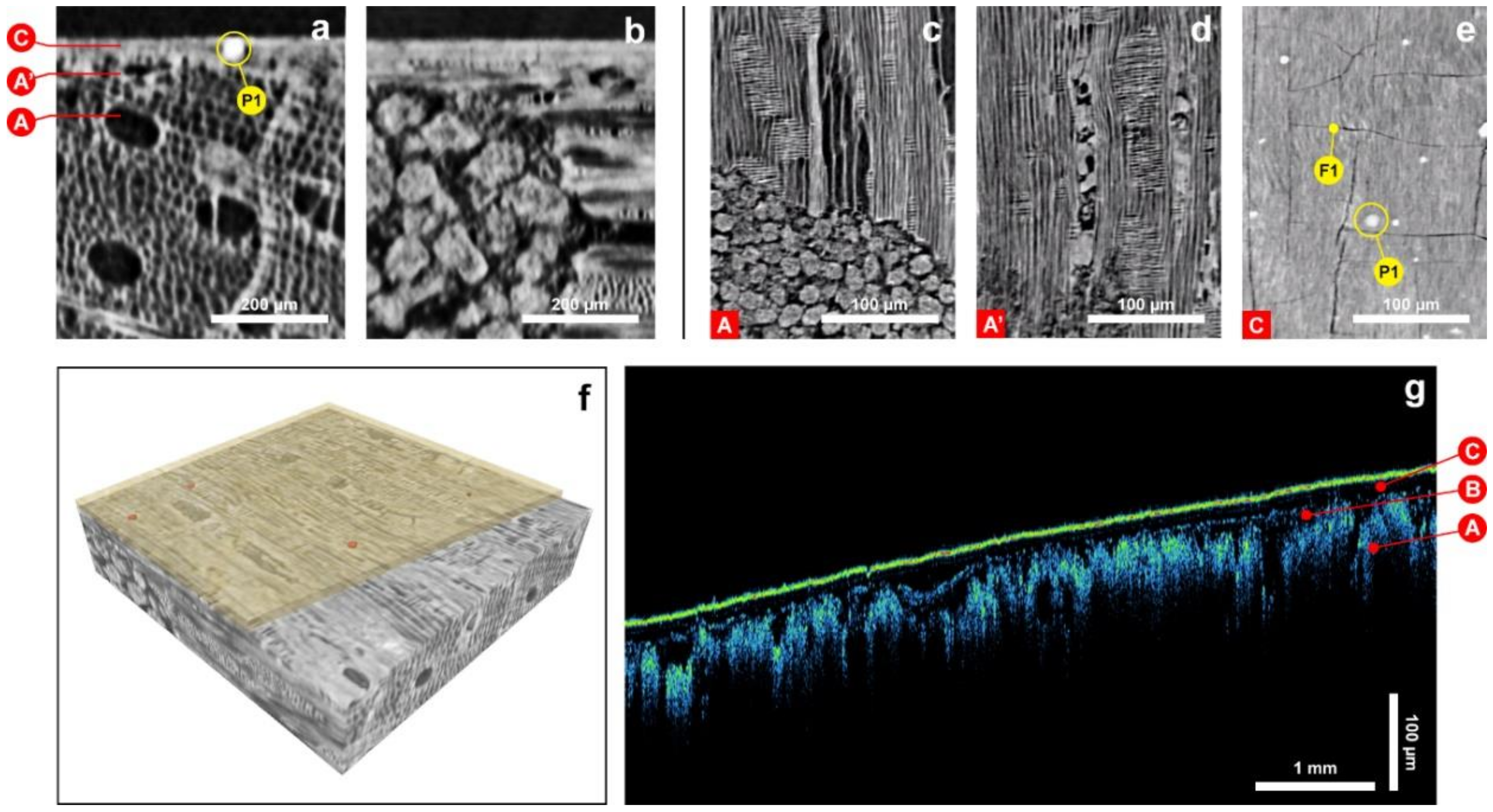 Coatings 09 00081 g006 Coatings 09 00081 g006