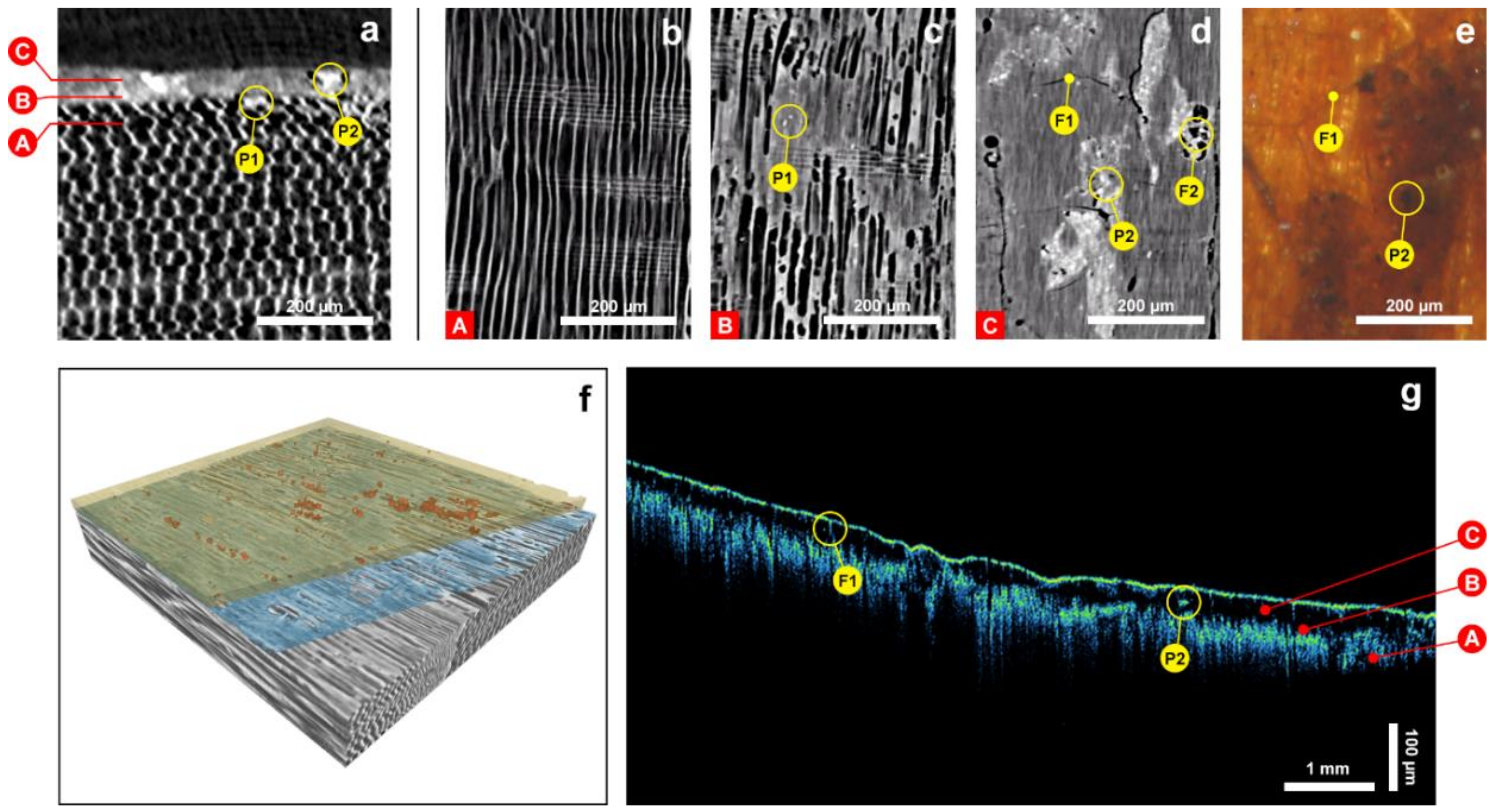 Coatings 09 00081 g007 Coatings 09 00081 g007