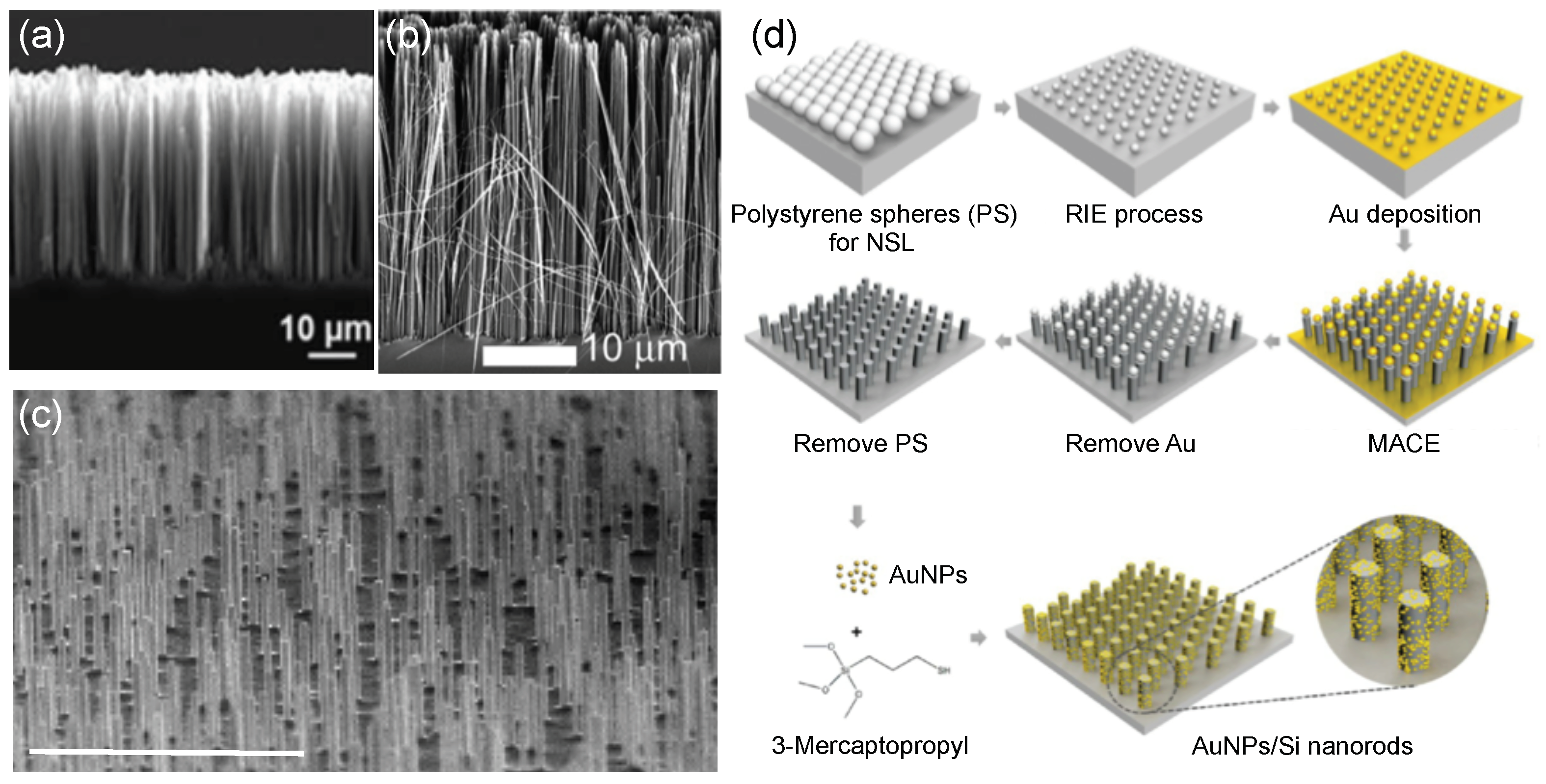 Coatings 09 00086 g001 Coatings 09 00086 g001