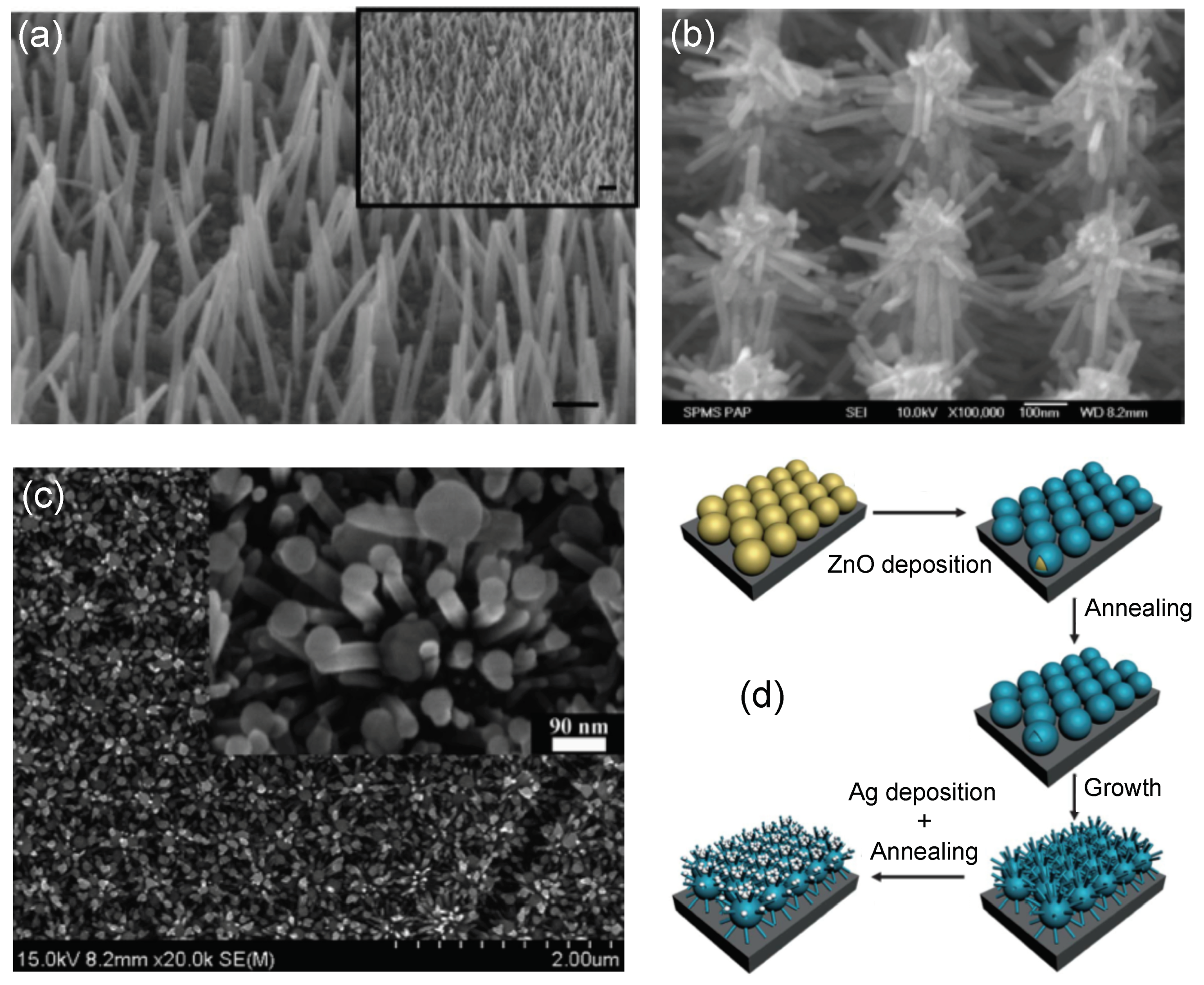 Coatings 09 00086 g003 Coatings 09 00086 g003