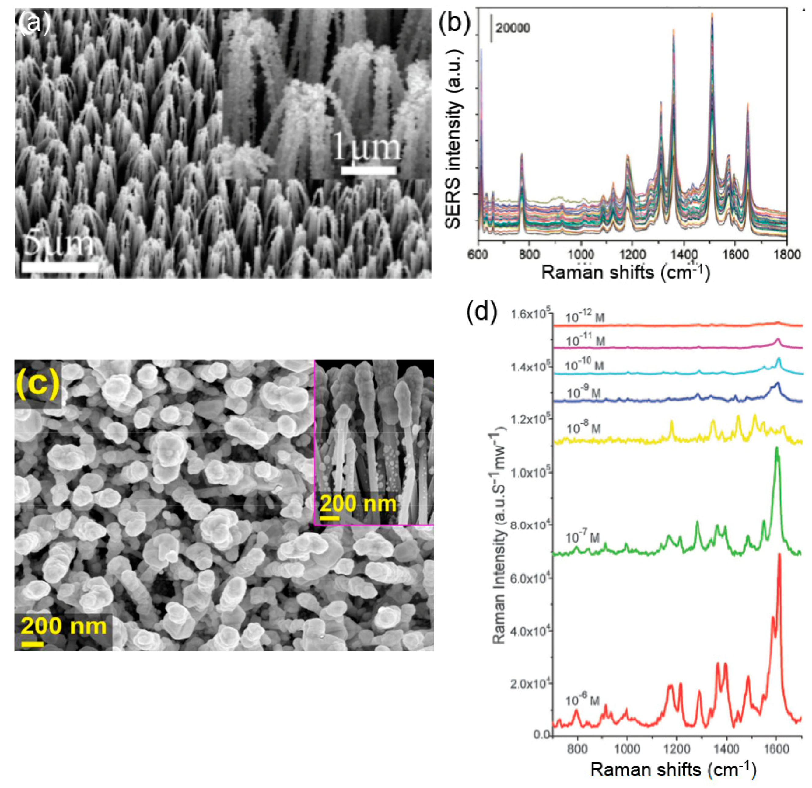 Coatings 09 00086 g004 Coatings 09 00086 g004