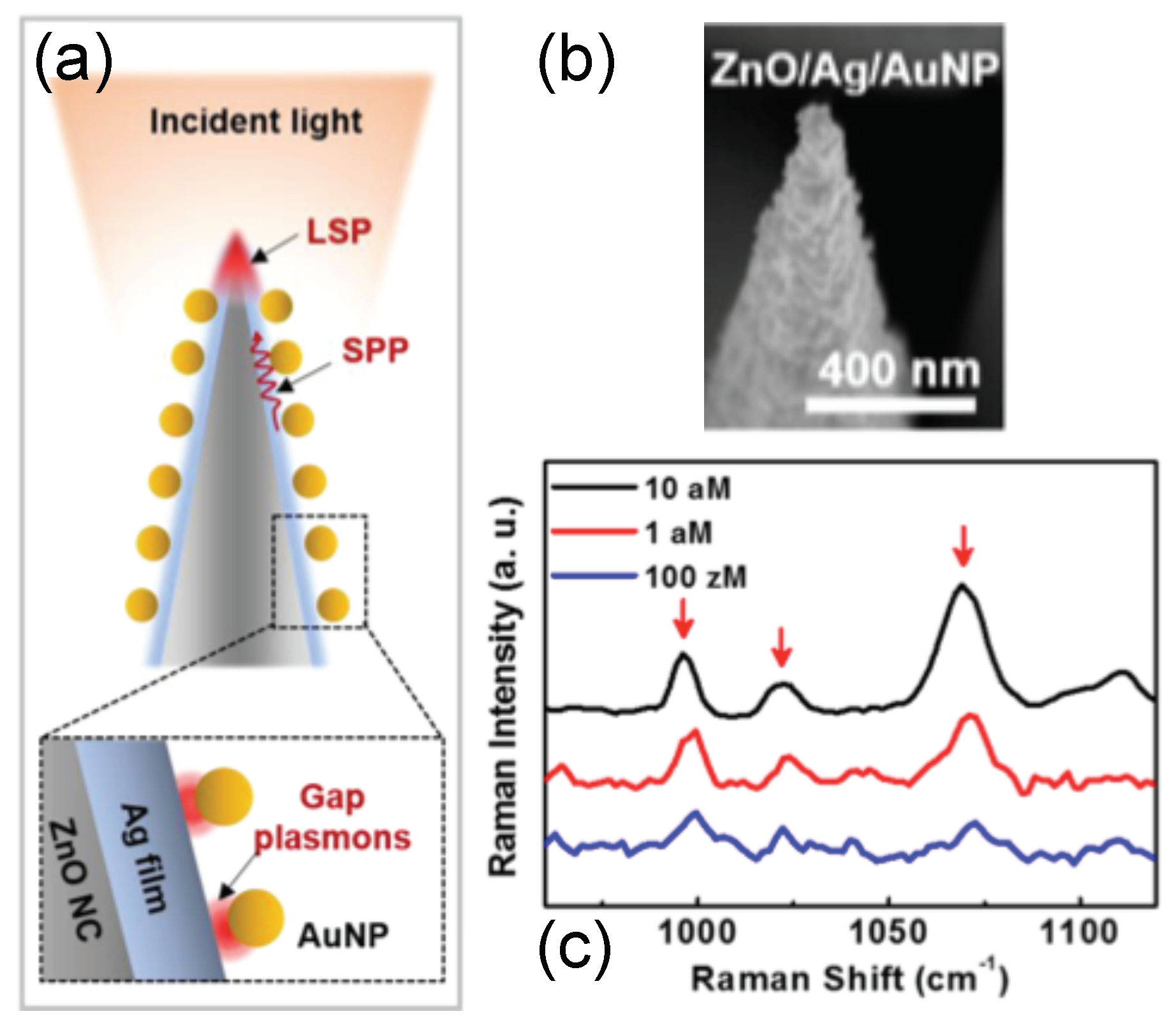 Coatings 09 00086 g005 Coatings 09 00086 g005