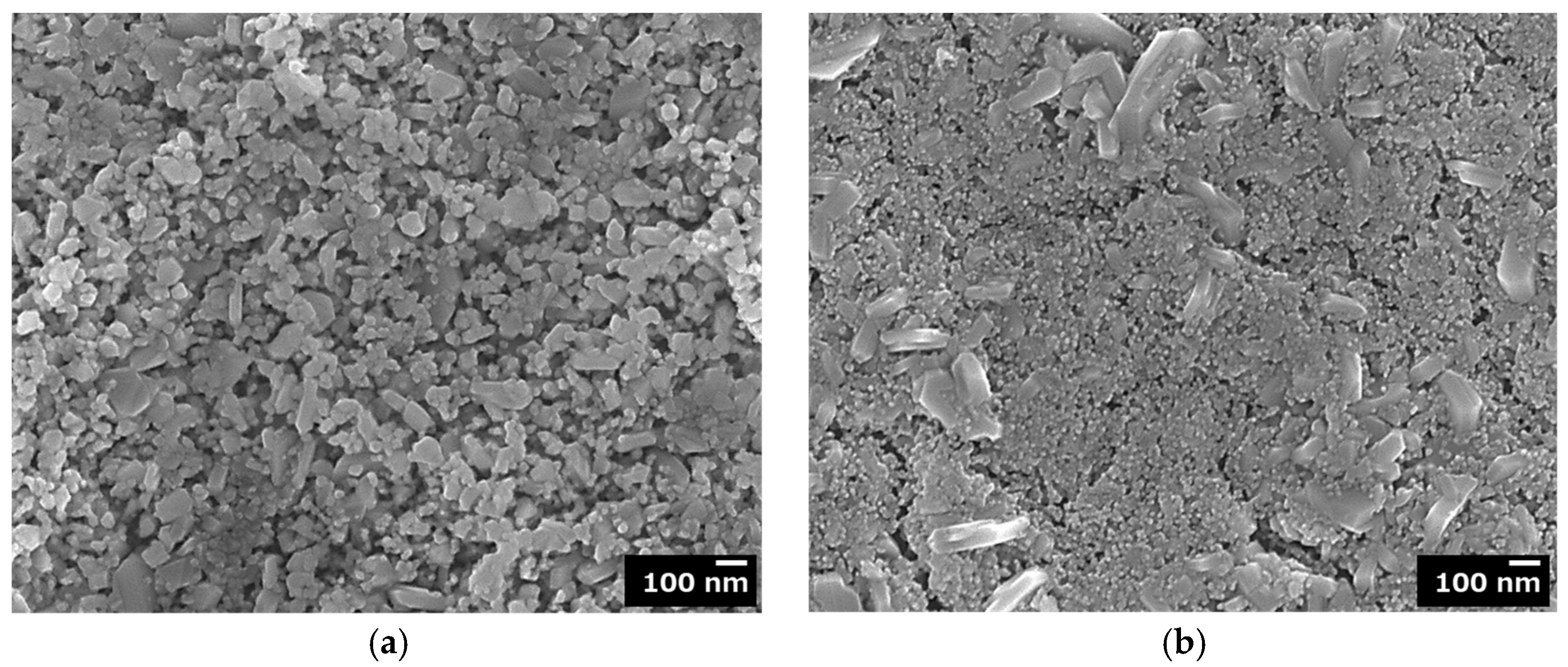 Coatings 09 00097 g004 550