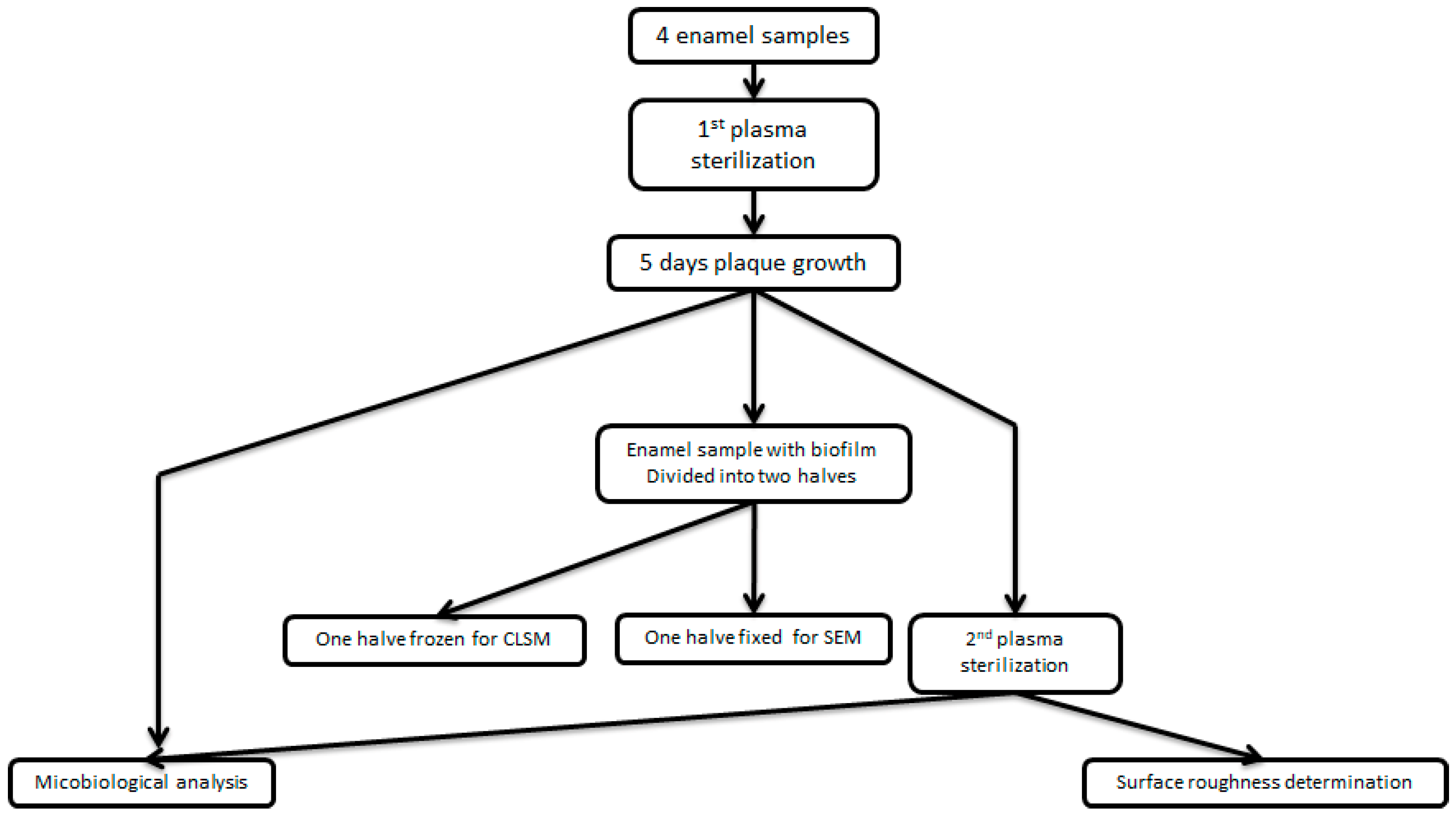 Coatings 09 00099 g001 550
