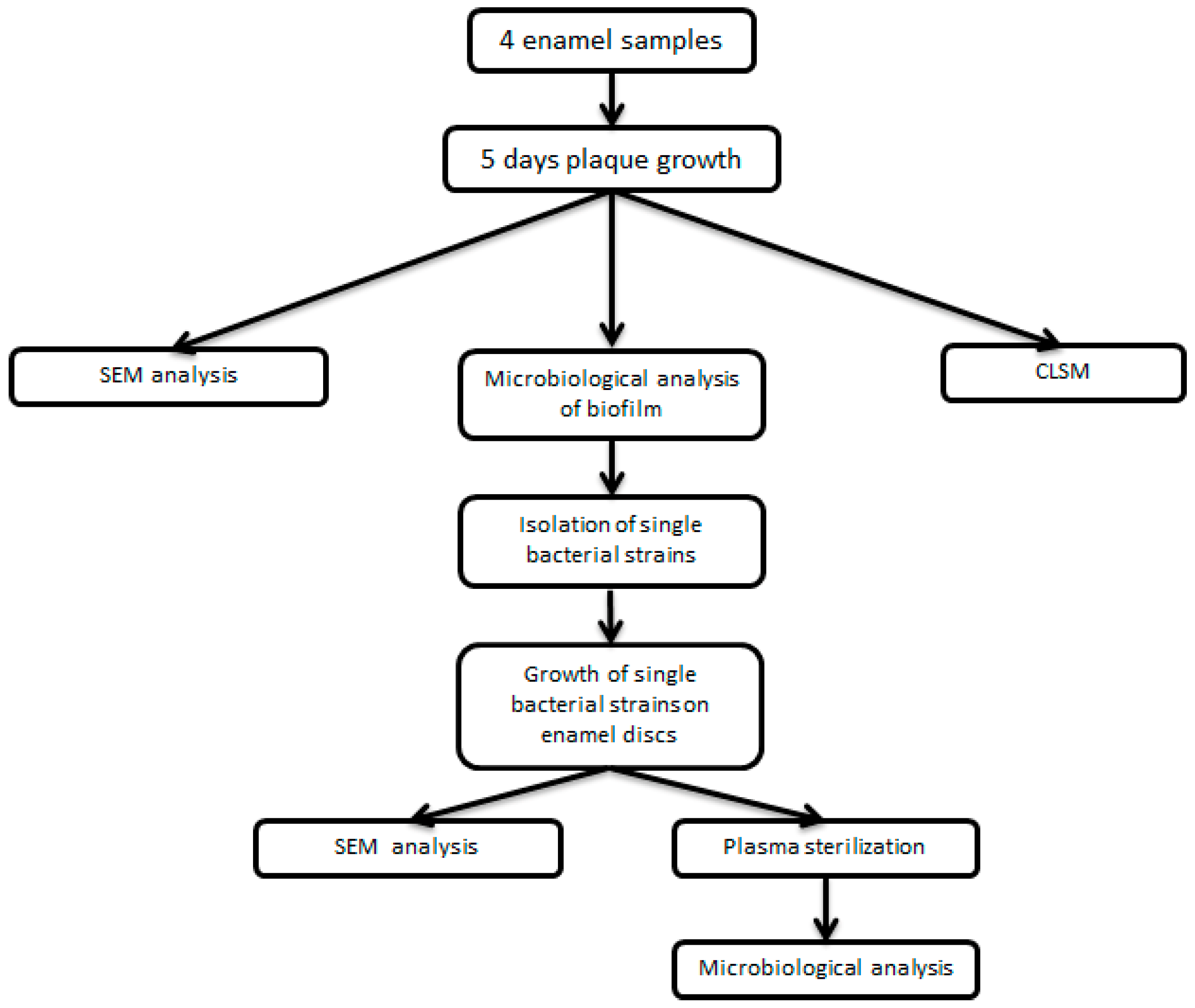 Coatings 09 00099 g002 550
