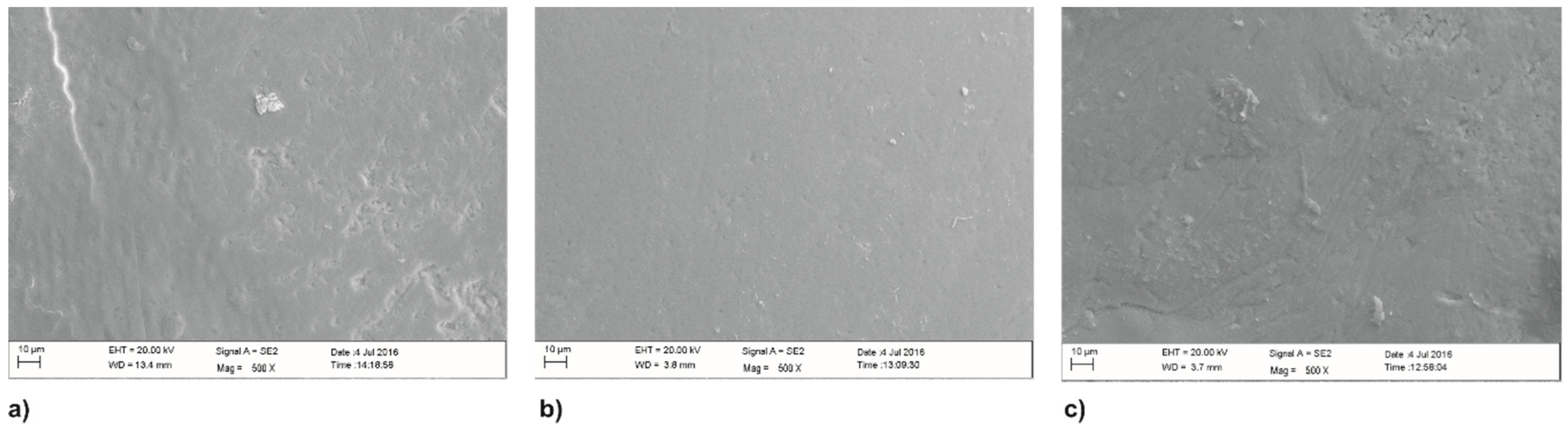 Coatings 09 00099 g003 550
