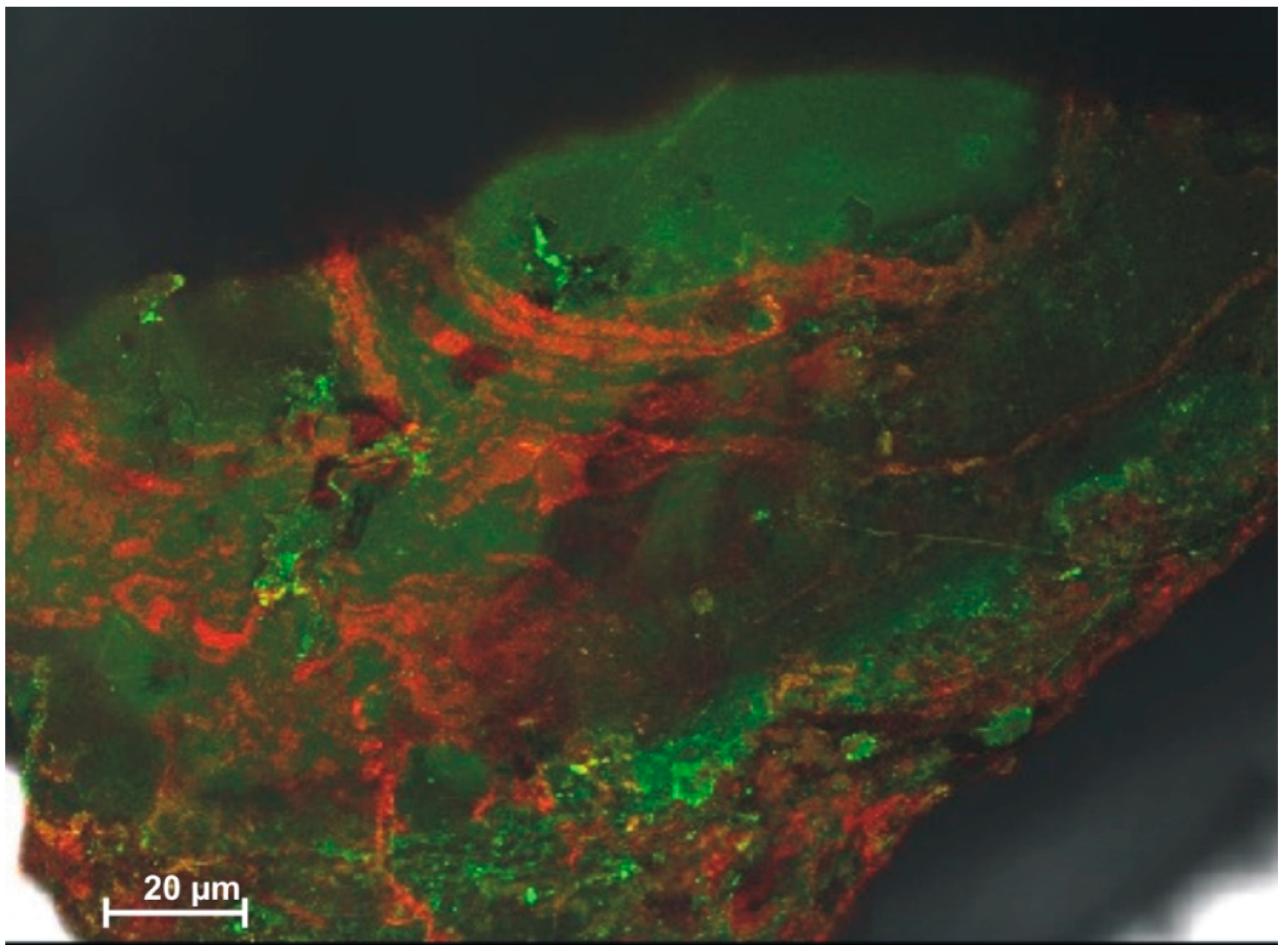 Coatings 09 00099 g007 550