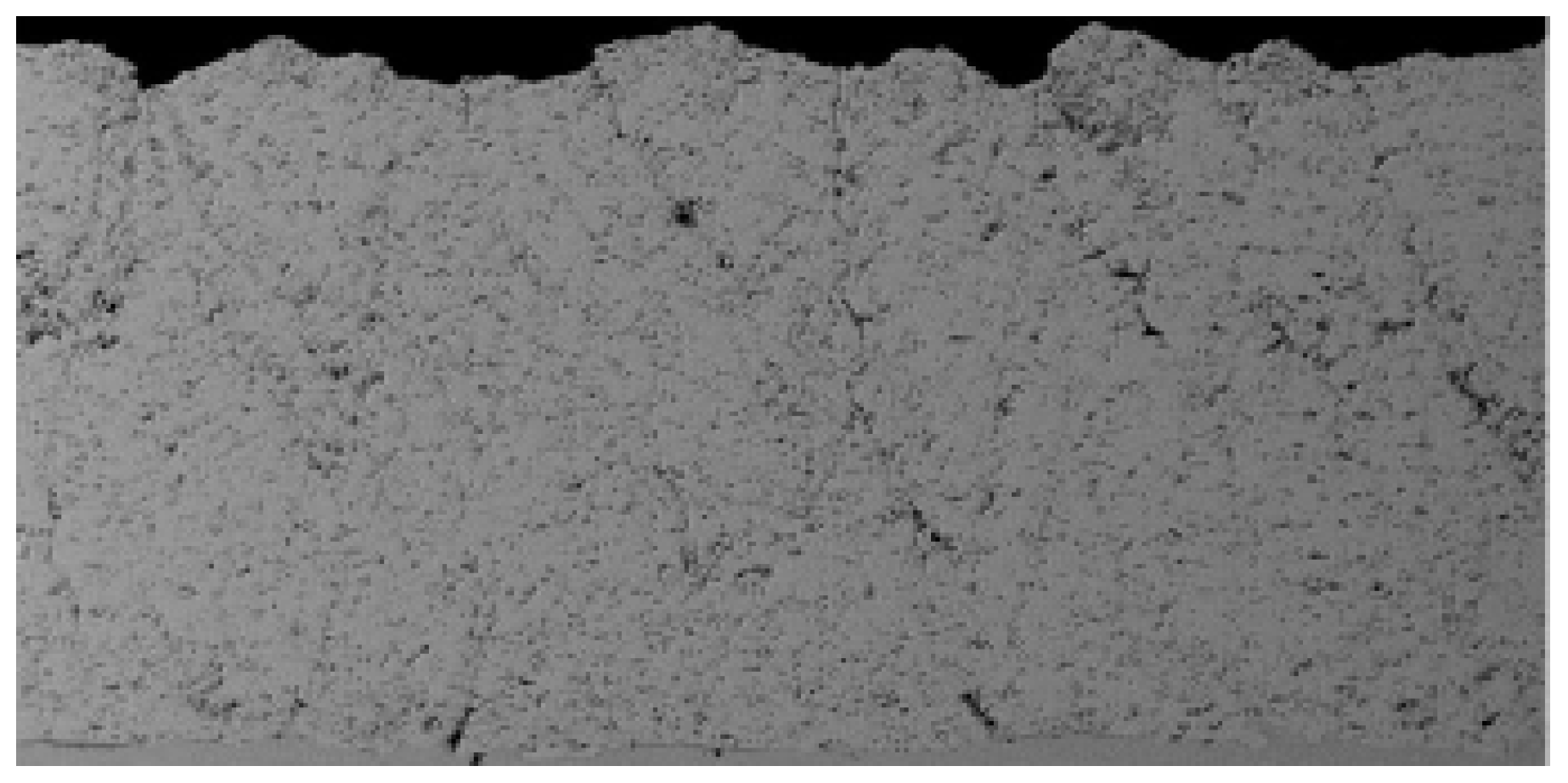 Coatings 09 00101 g0a1 550