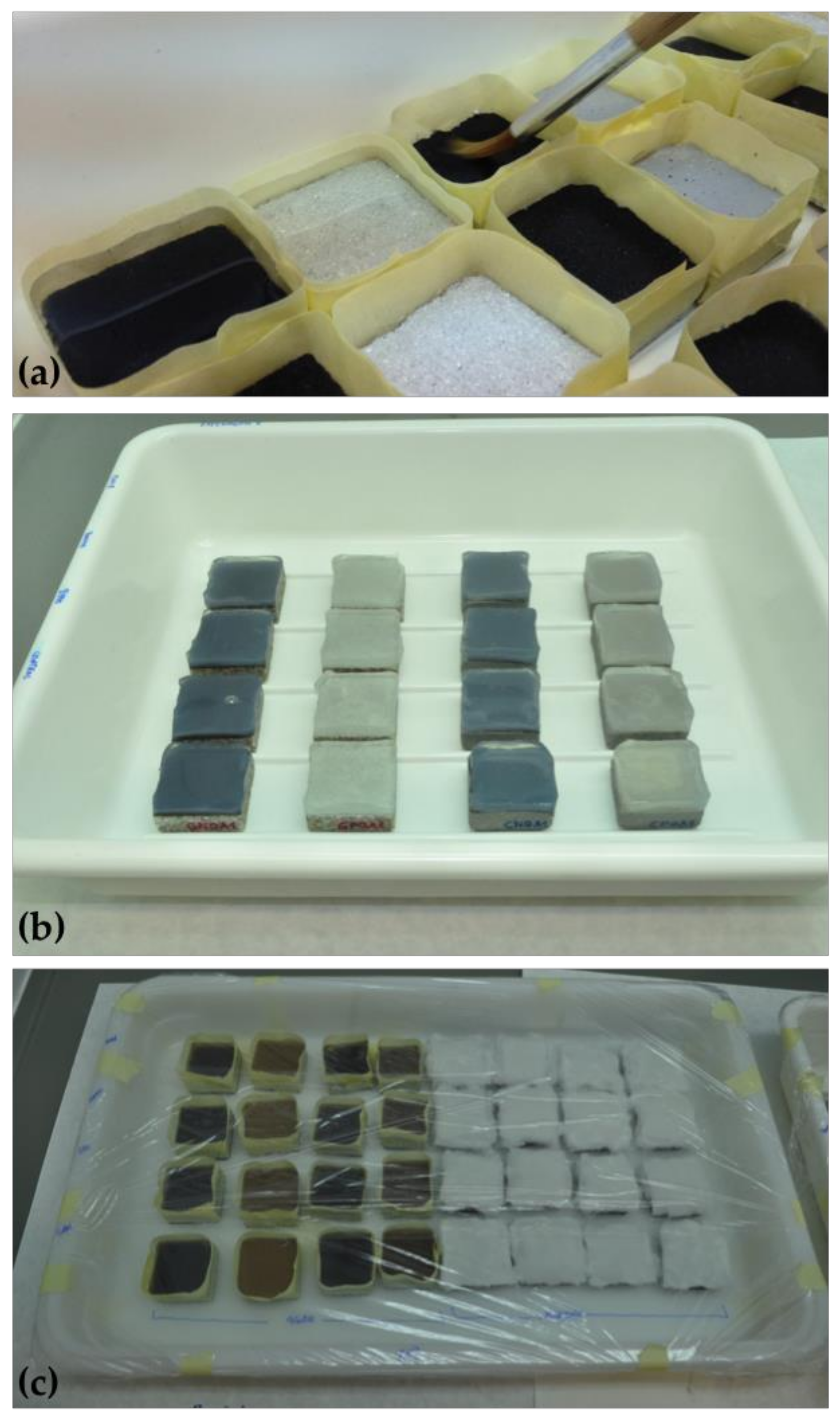 Coatings 09 00104 g005 Coatings 09 00104 g005