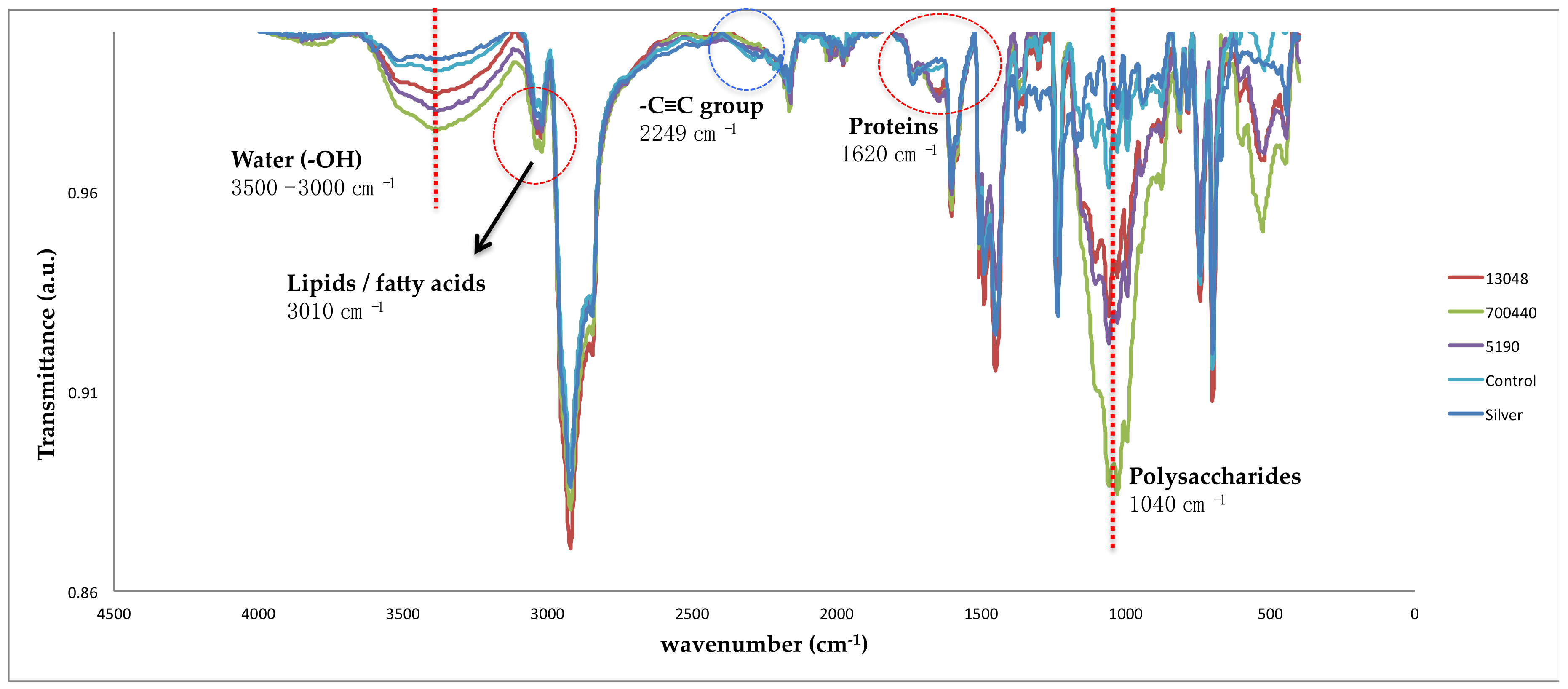 Coatings 09 00104 g007 Coatings 09 00104 g007