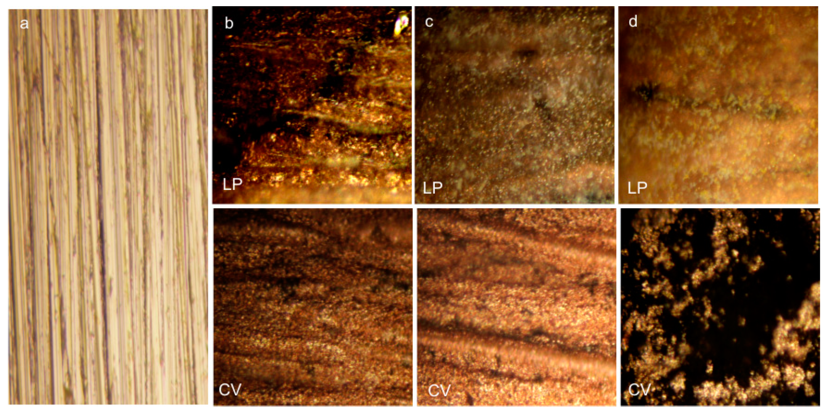 Coatings 09 00105 g002 550
