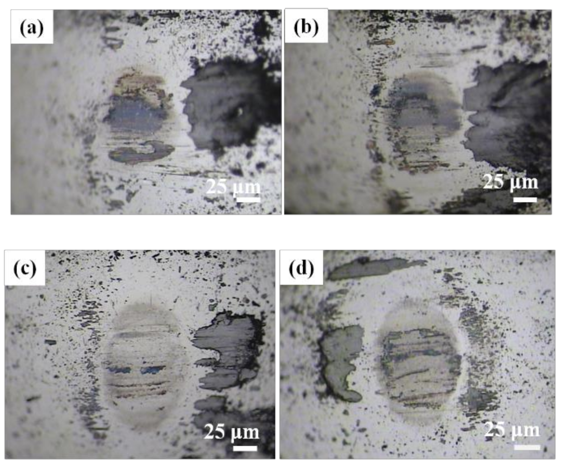 Coatings 09 00108 g006