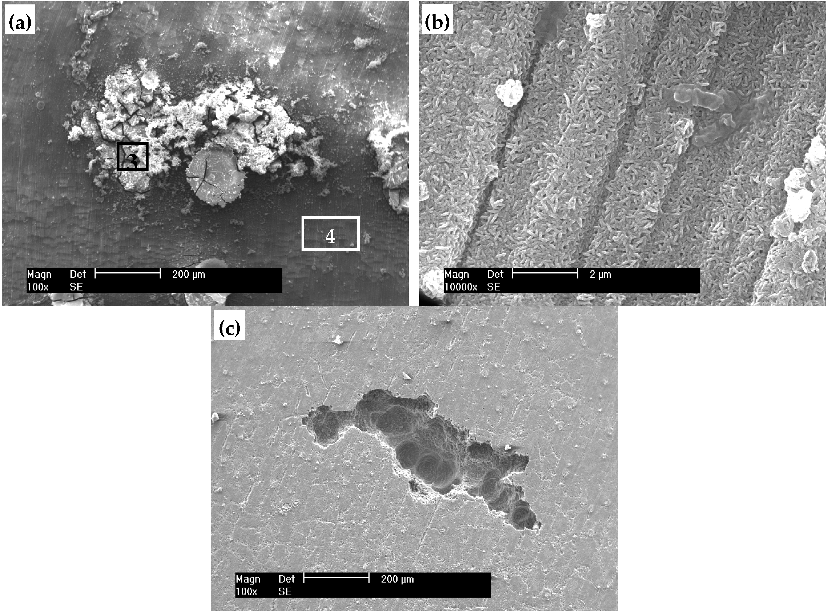 Coatings 09 00113 g004