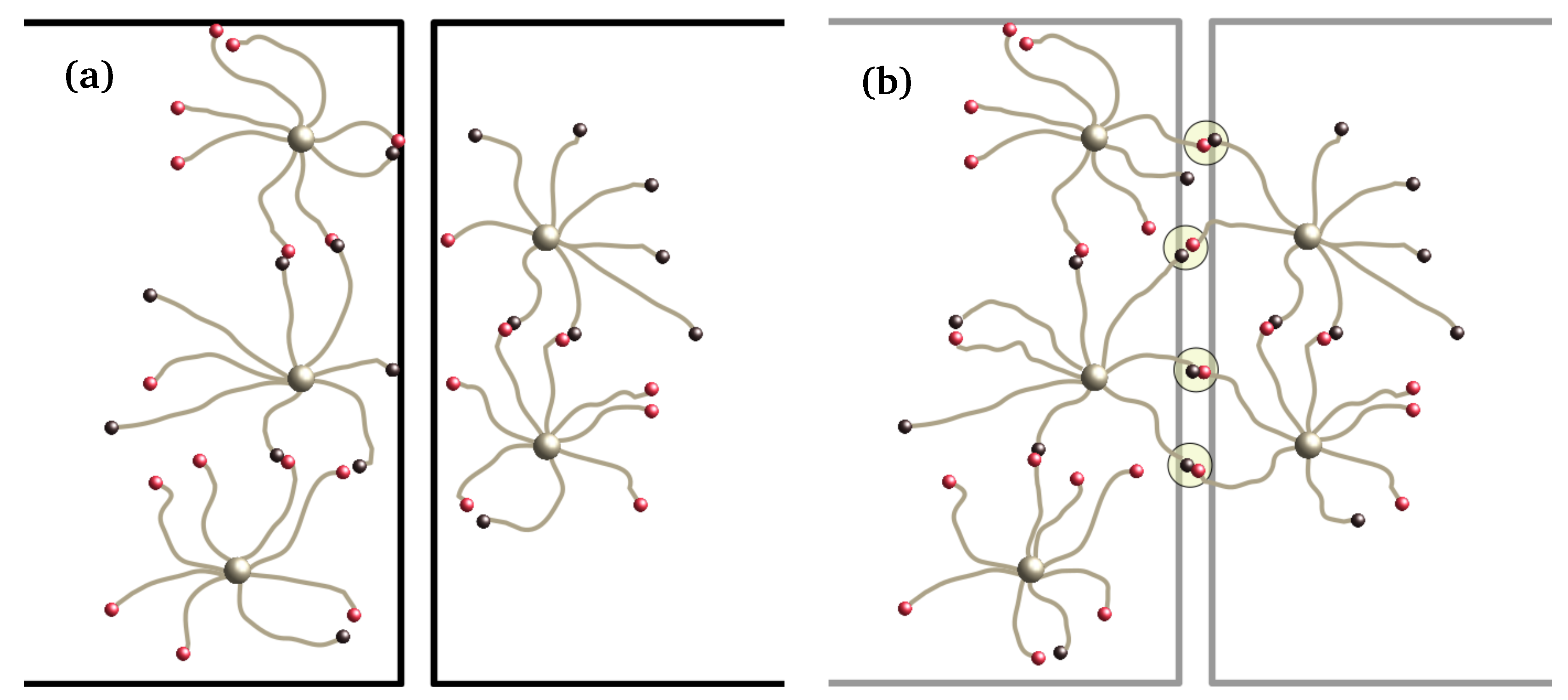 Coatings 09 00114 g001 550