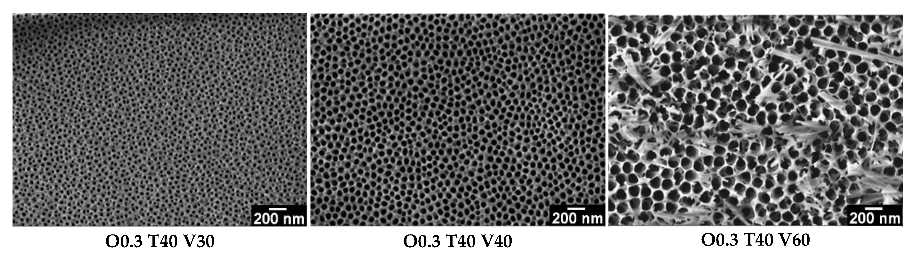 Coatings 09 00115 g002b