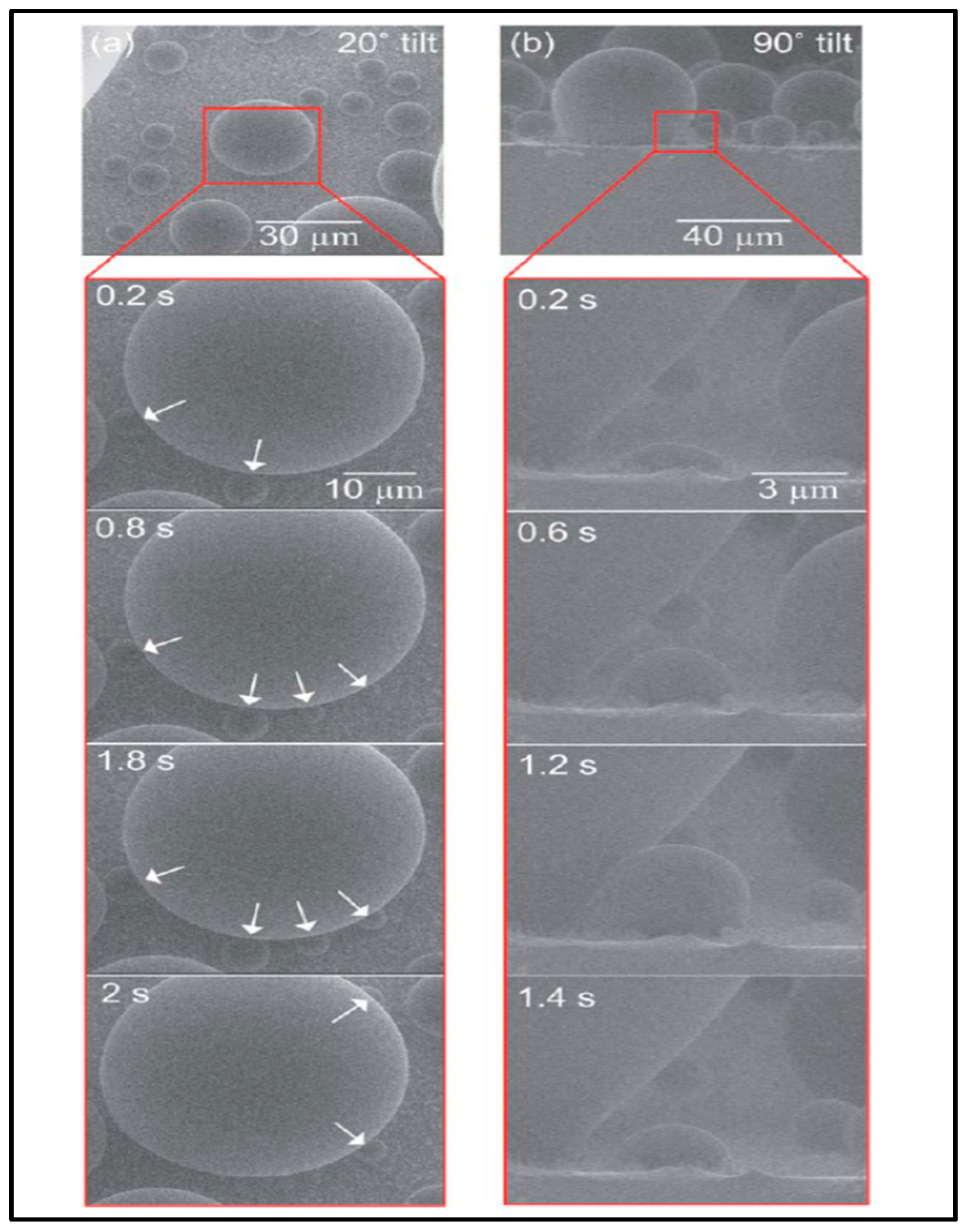 Coatings 09 00117 g004