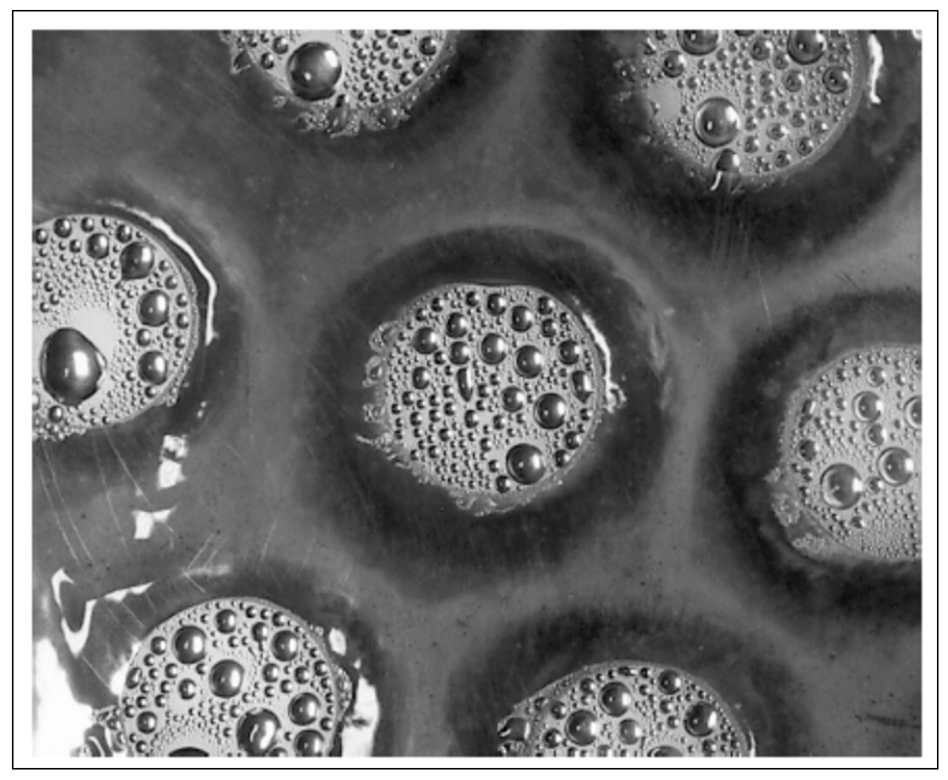 Coatings 09 00117 g007