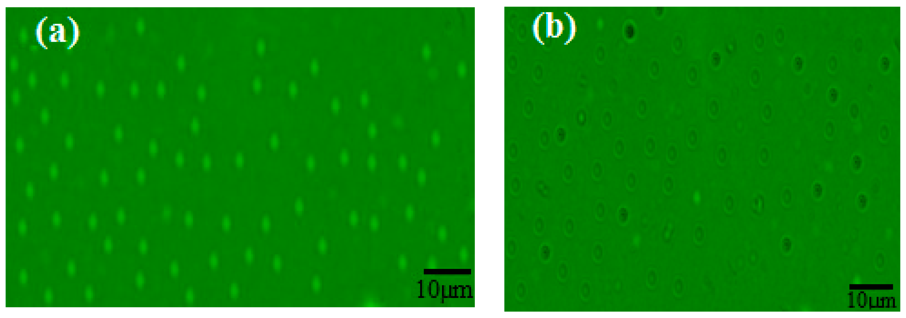 Coatings 09 00124 g001 Coatings 09 00124 g001