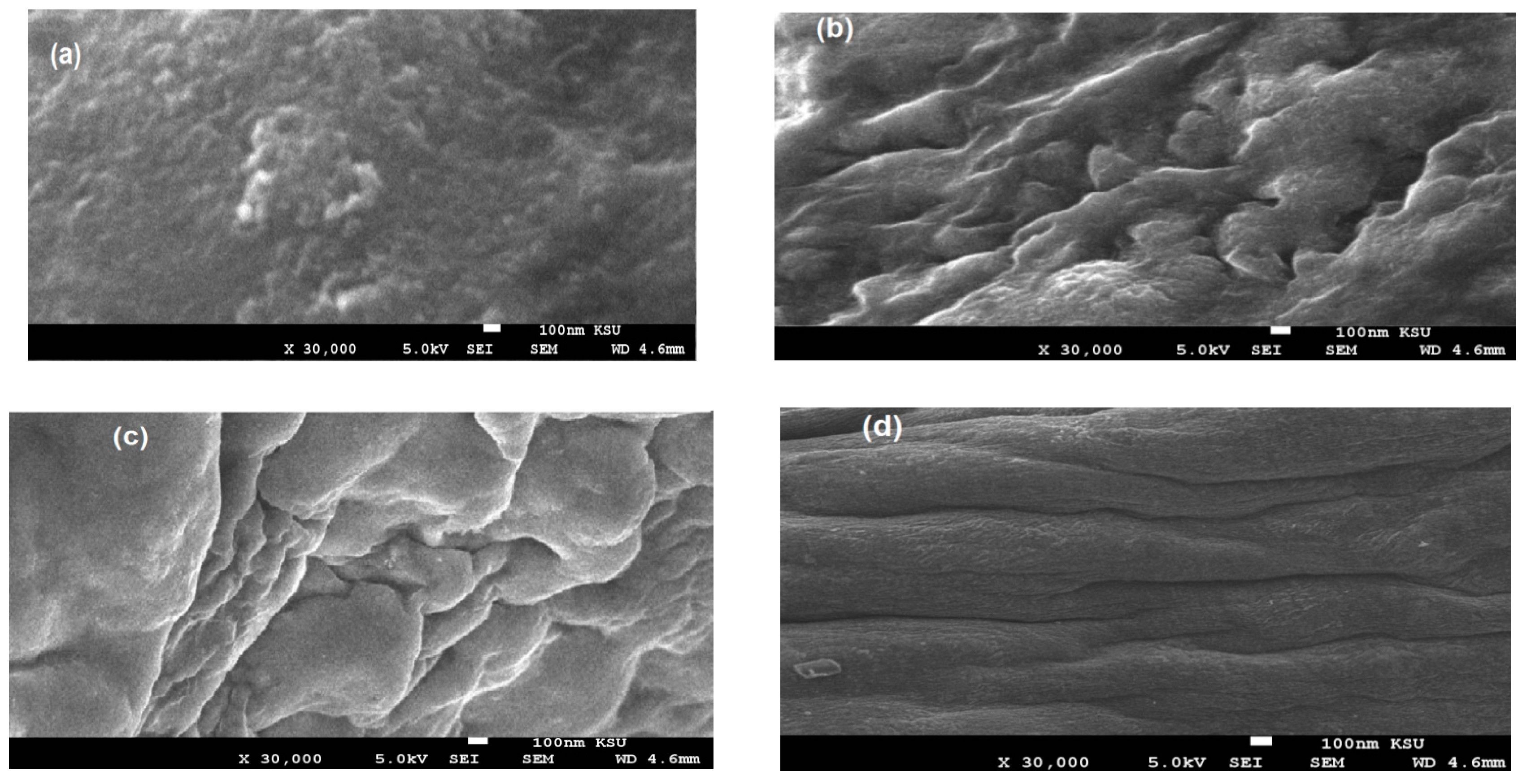 Coatings 09 00124 g007 Coatings 09 00124 g007