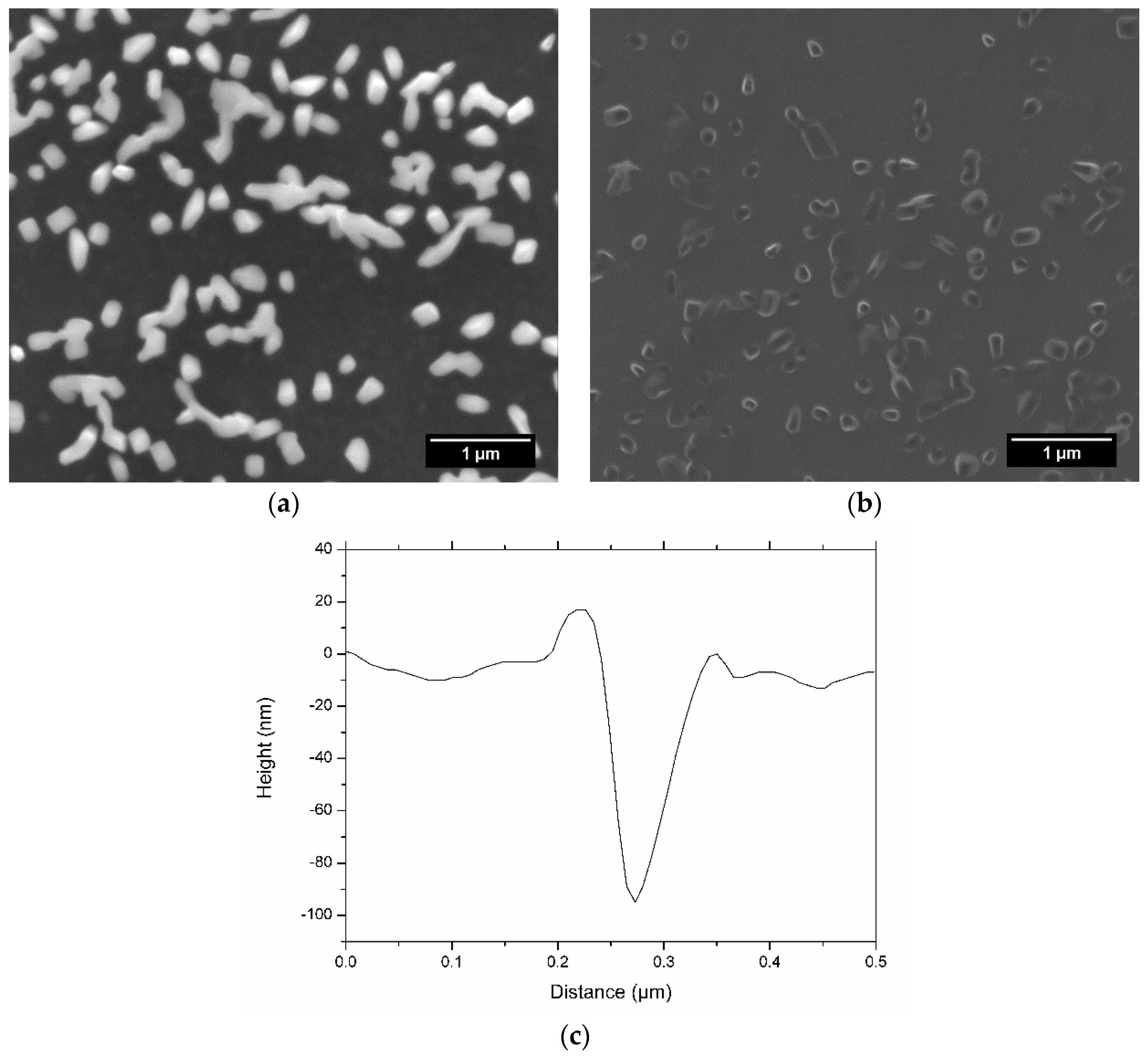 Coatings 09 00125 g001