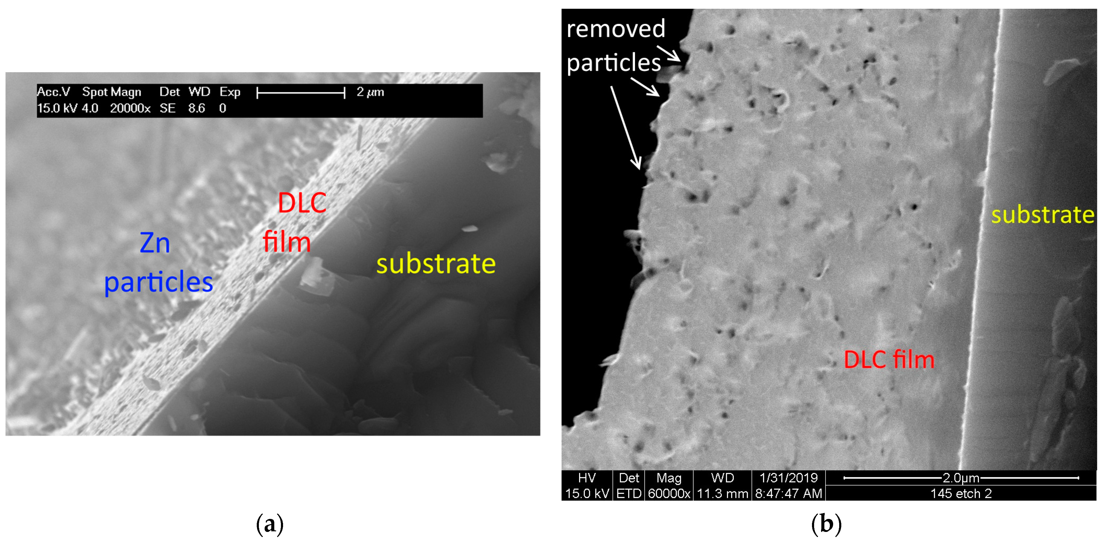 Coatings 09 00125 g002