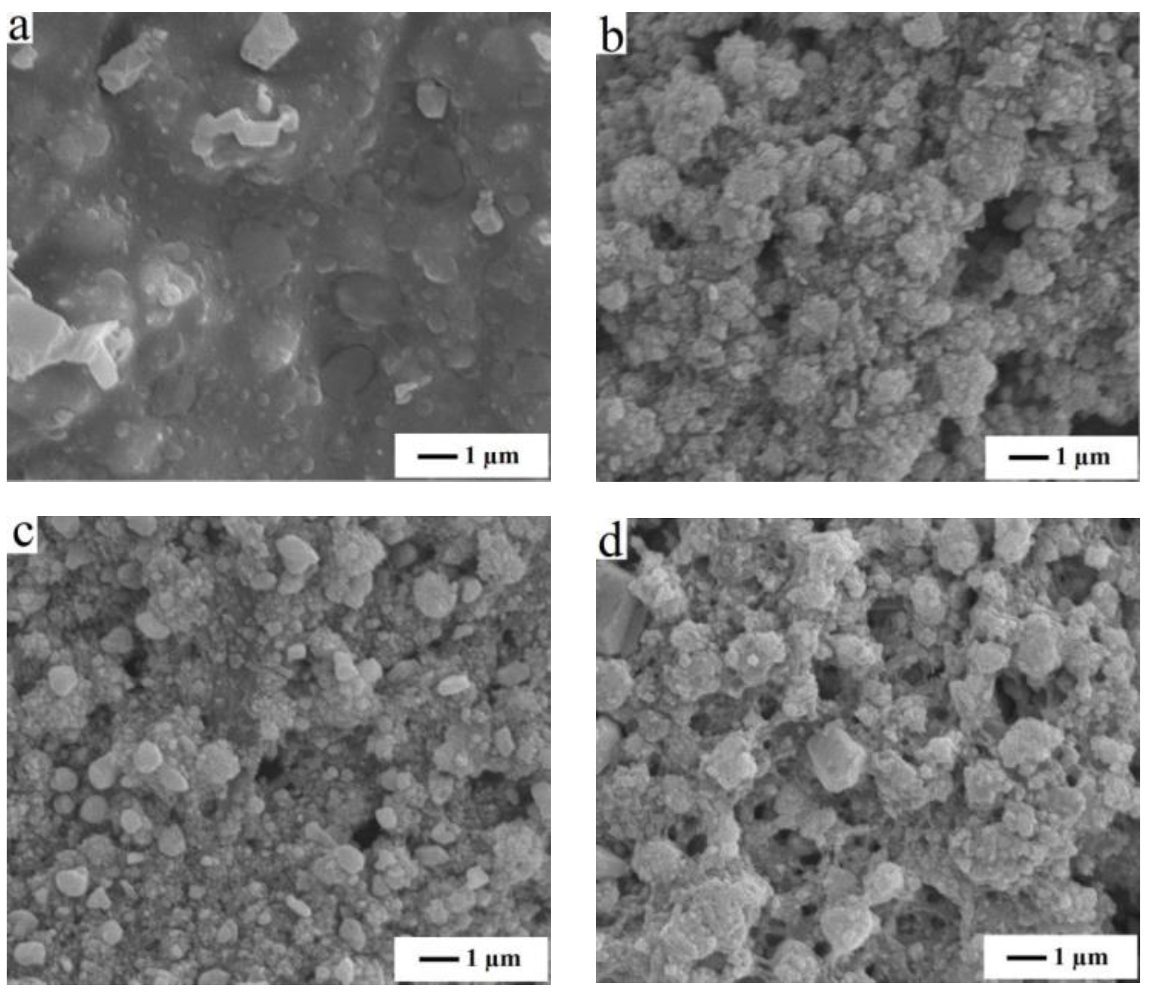 Coatings 09 00130 g002 550