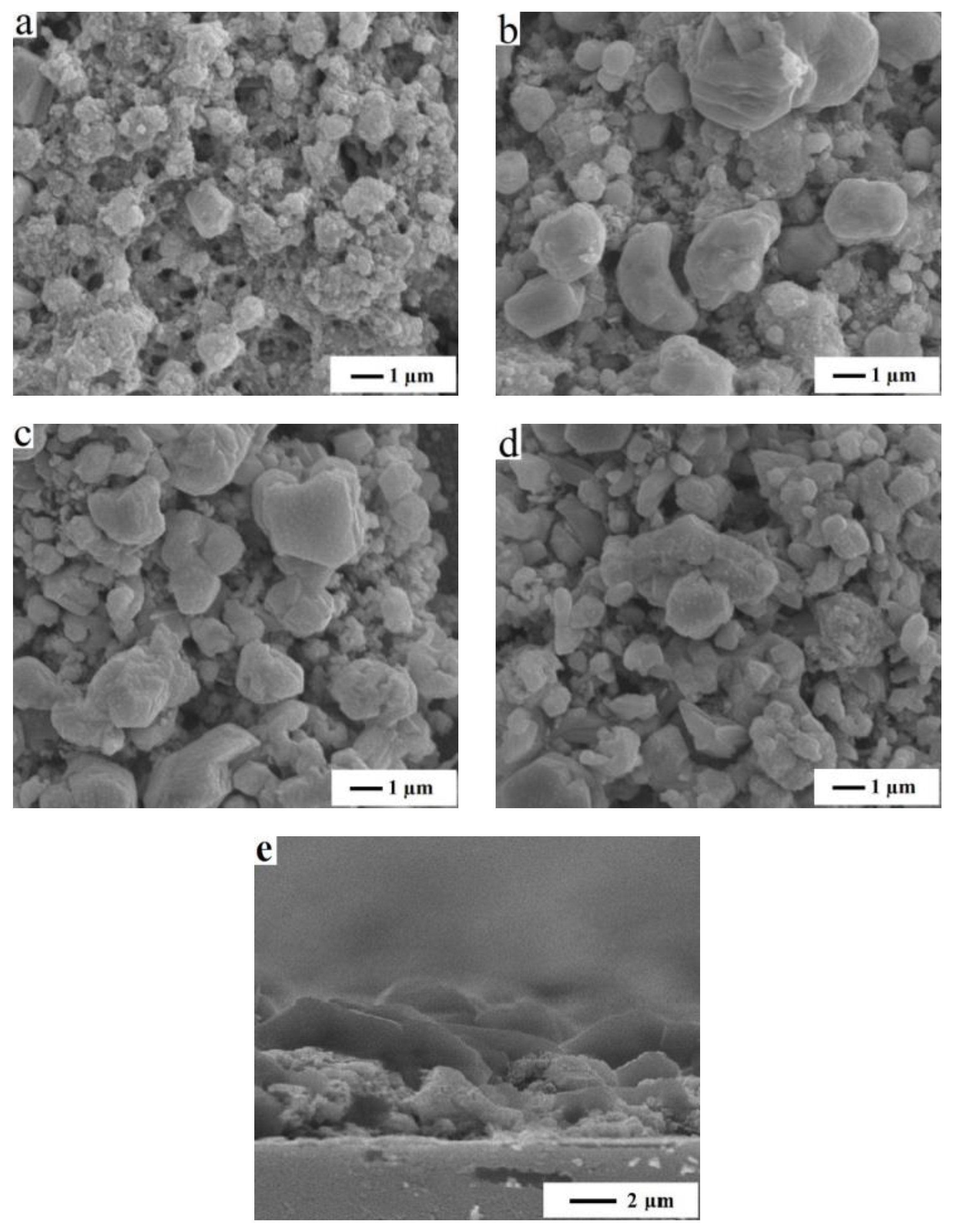 Coatings 09 00130 g006 550