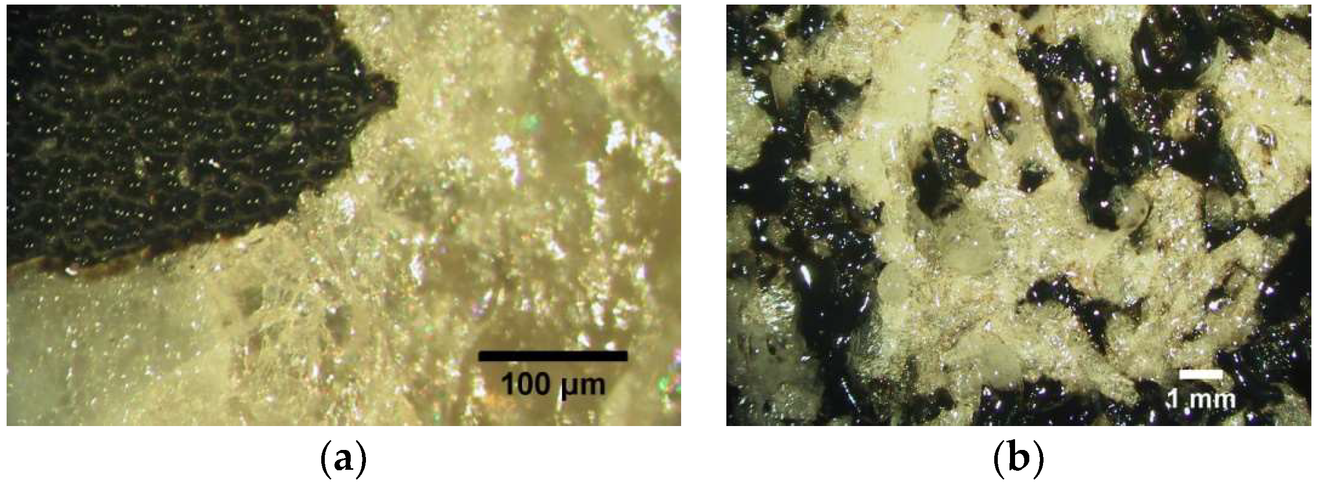 Coatings 09 00131 g007 Coatings 09 00131 g007