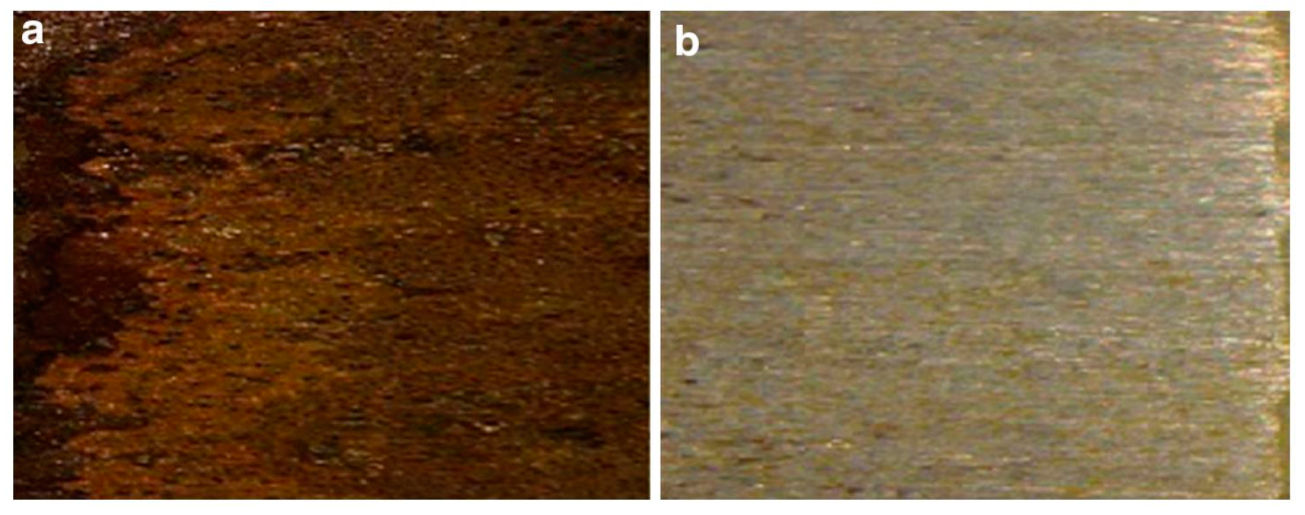 Coatings 09 00133 g002 550